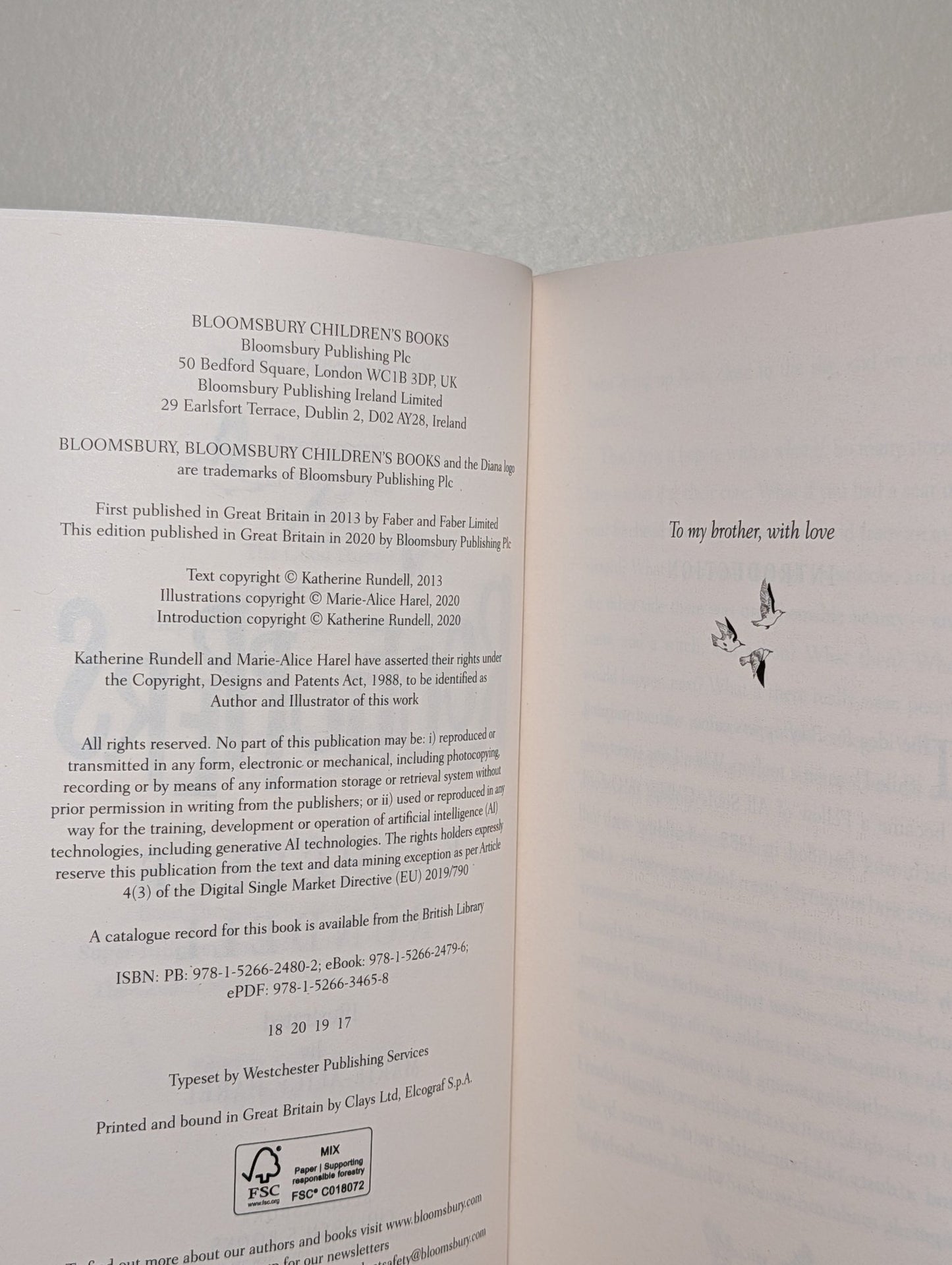 Rooftoppers by Katherine Rundell (Signed Paperback Edition) - Fialta Books