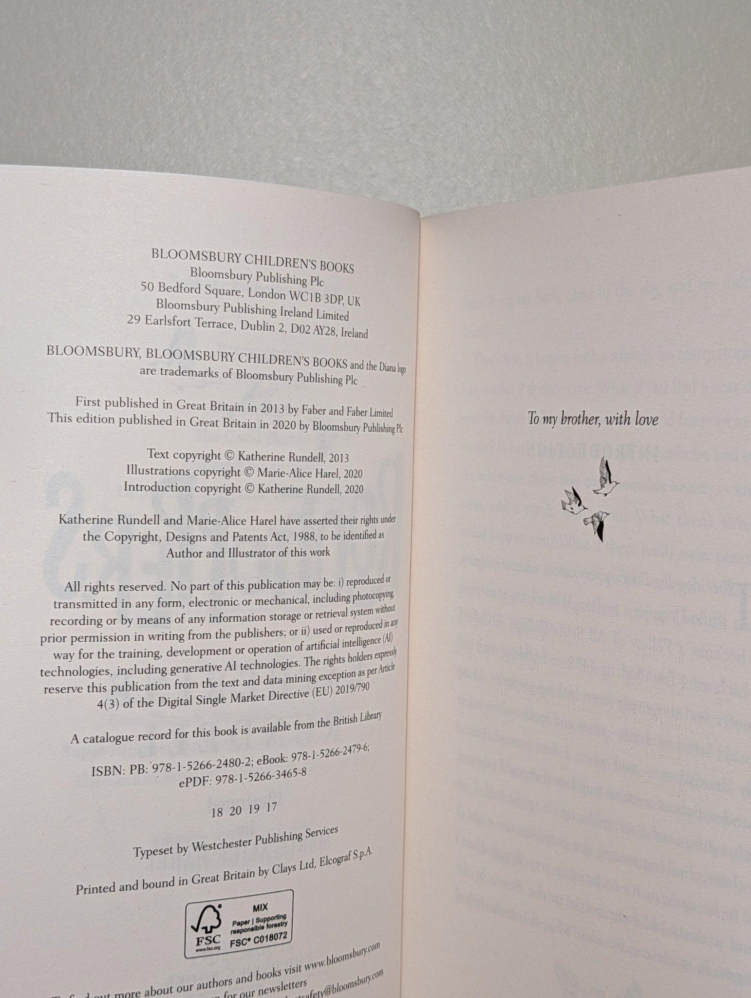 Rooftoppers by Katherine Rundell (Signed Paperback Edition) - Fialta Books