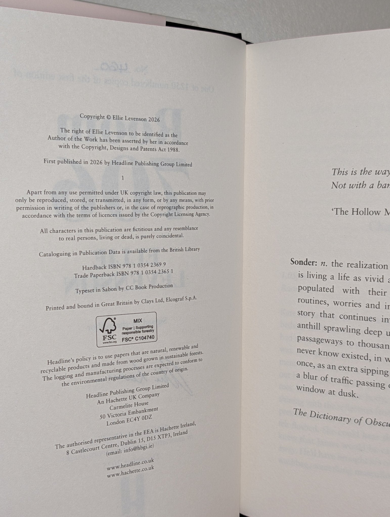 Room 706 by Ellie Levenson (Signed Numbered First Edition with sprayed edges) - Fialta Books