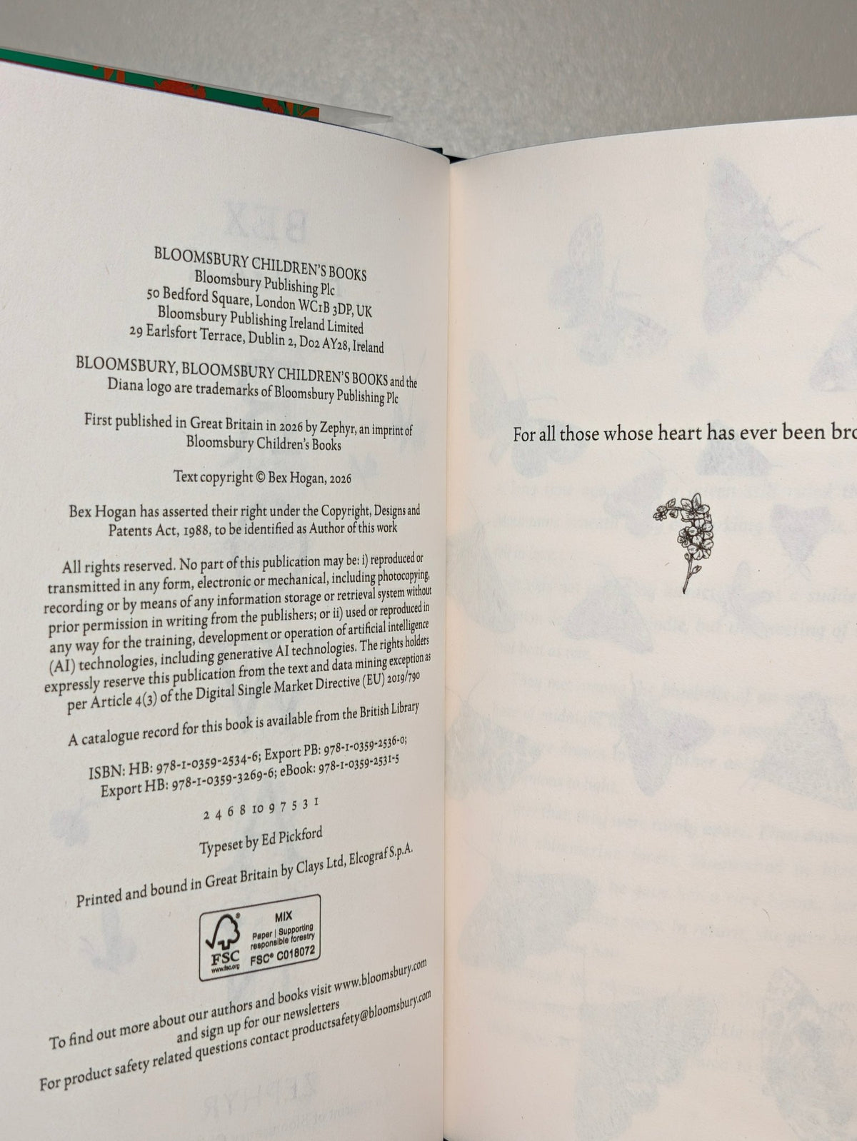 Rowan by Bex Hogan (Signed Lined First Edition with sprayed edges) - Fialta Books
