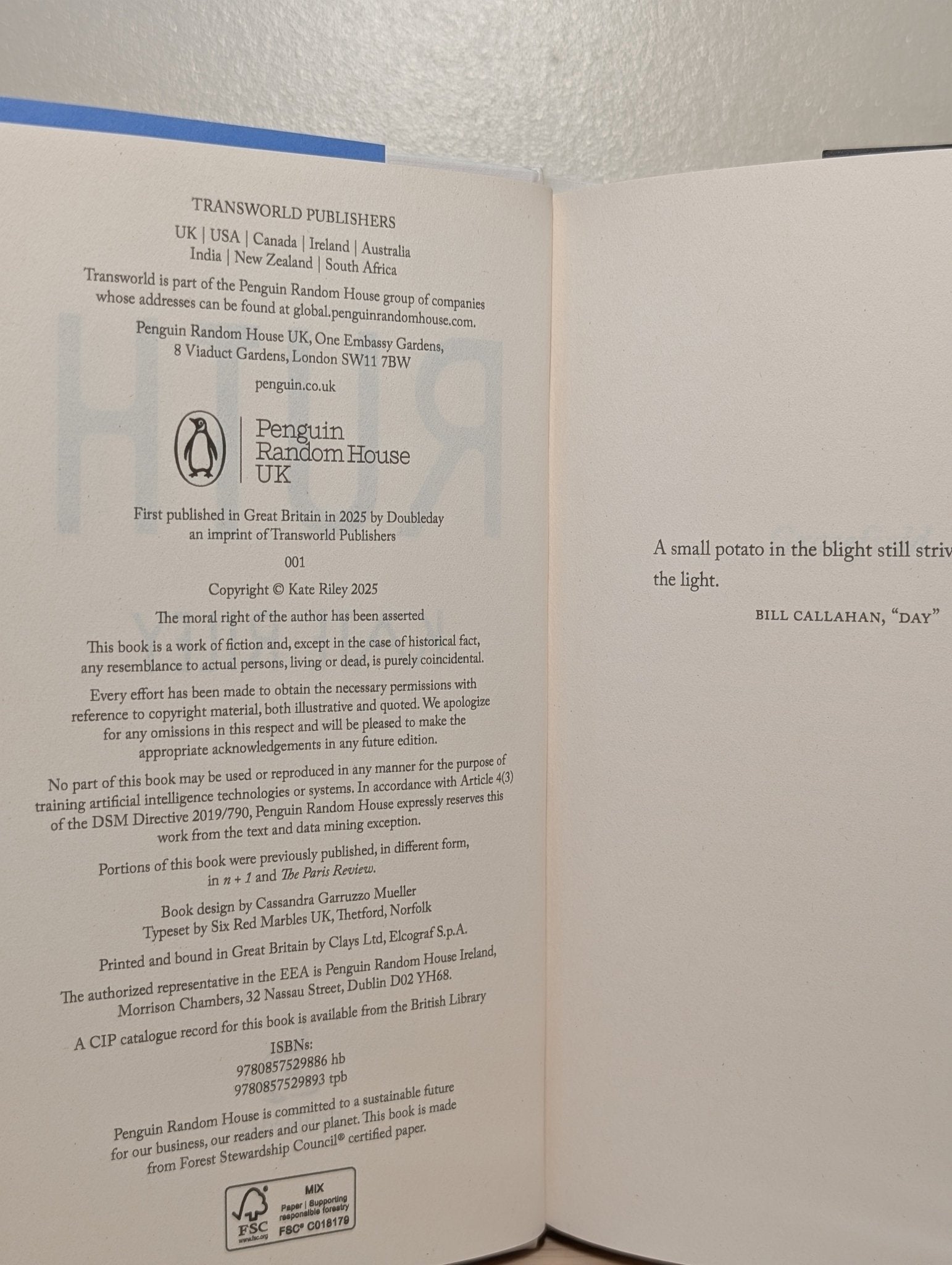 Ruth by Kate Riley (First Edition) - Fialta Books