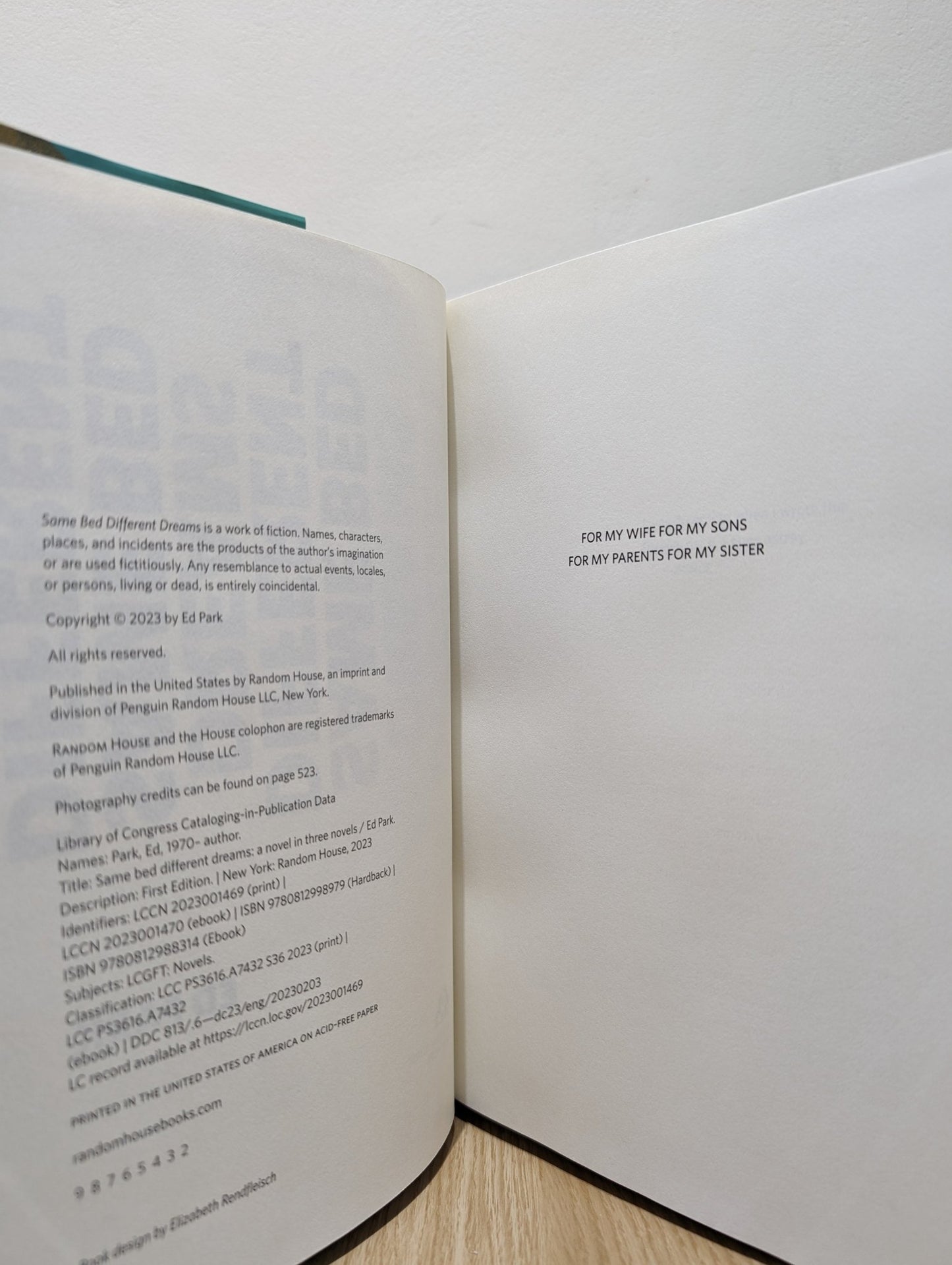 Same Bed Different Dreams: A Novel by Ed Park - Fialta Books