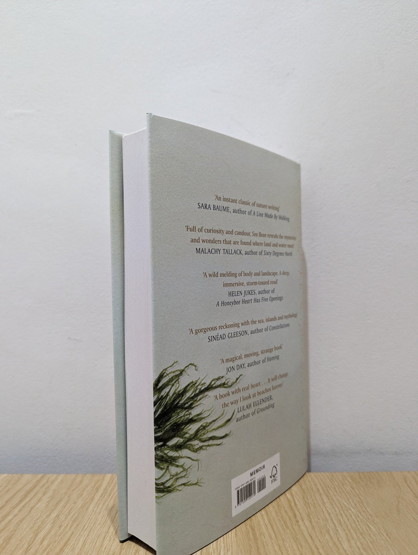 Sea Bean by Sally Huband (Signed First Edition) - Fialta Books