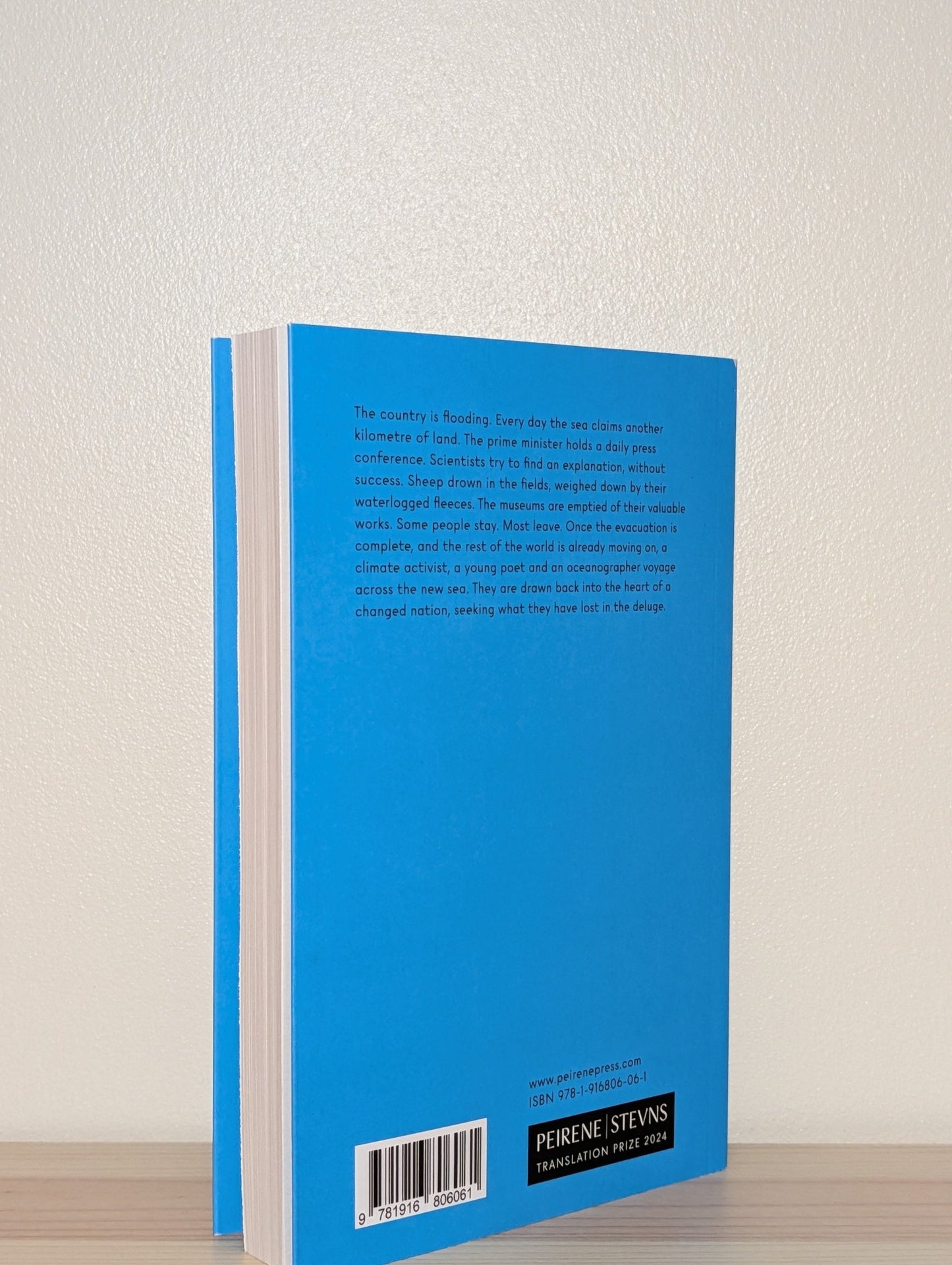 Sea Now by Eva Meijer (Signed First Edition) - Fialta Books