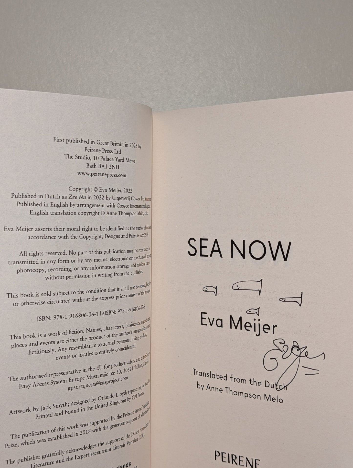 Sea Now by Eva Meijer (Signed First Edition) - Fialta Books