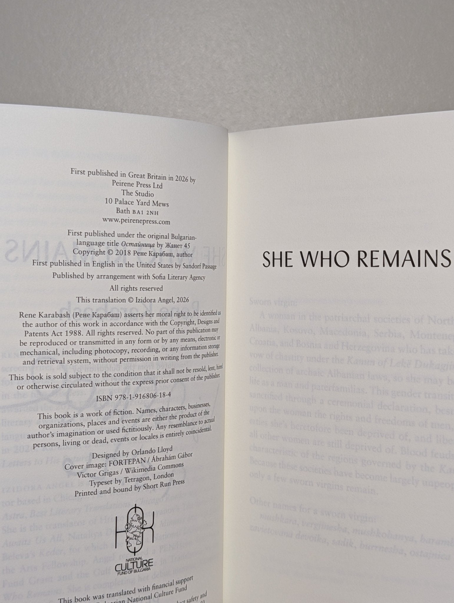 She Who Remains by Rene Karabash (Signed First Edition) - Fialta Books