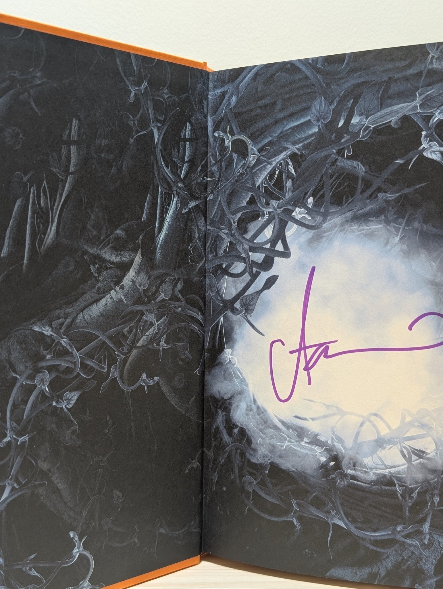 Shroud by Adrian Tchaikovsky (Signed First Edition) - Fialta Books