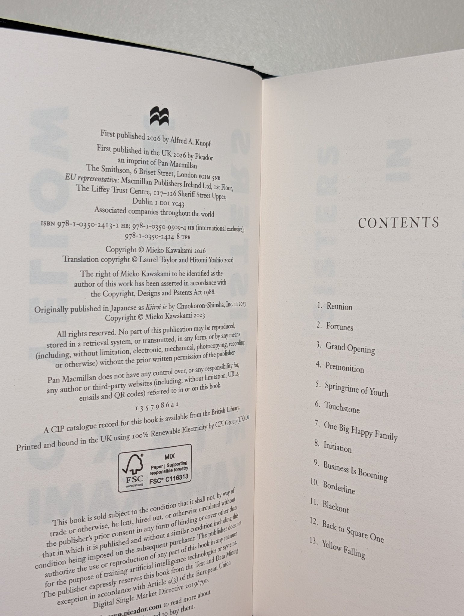 Sisters in Yellow by Mieko Kawakami (Signed First Edition) - Fialta Books