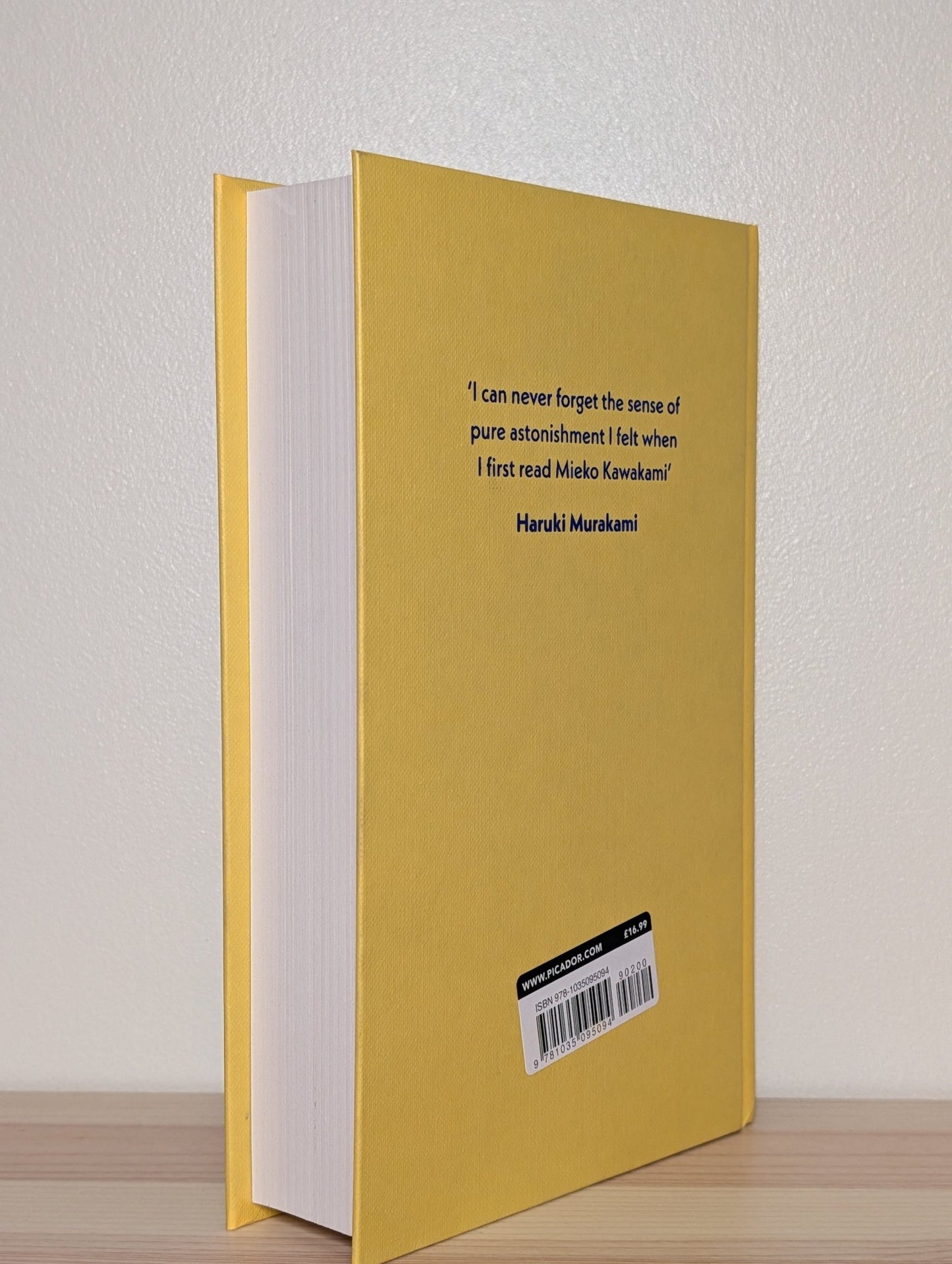 Sisters in Yellow by Mieko Kawakami (Signed First Edition with sprayed edges) - Fialta Books