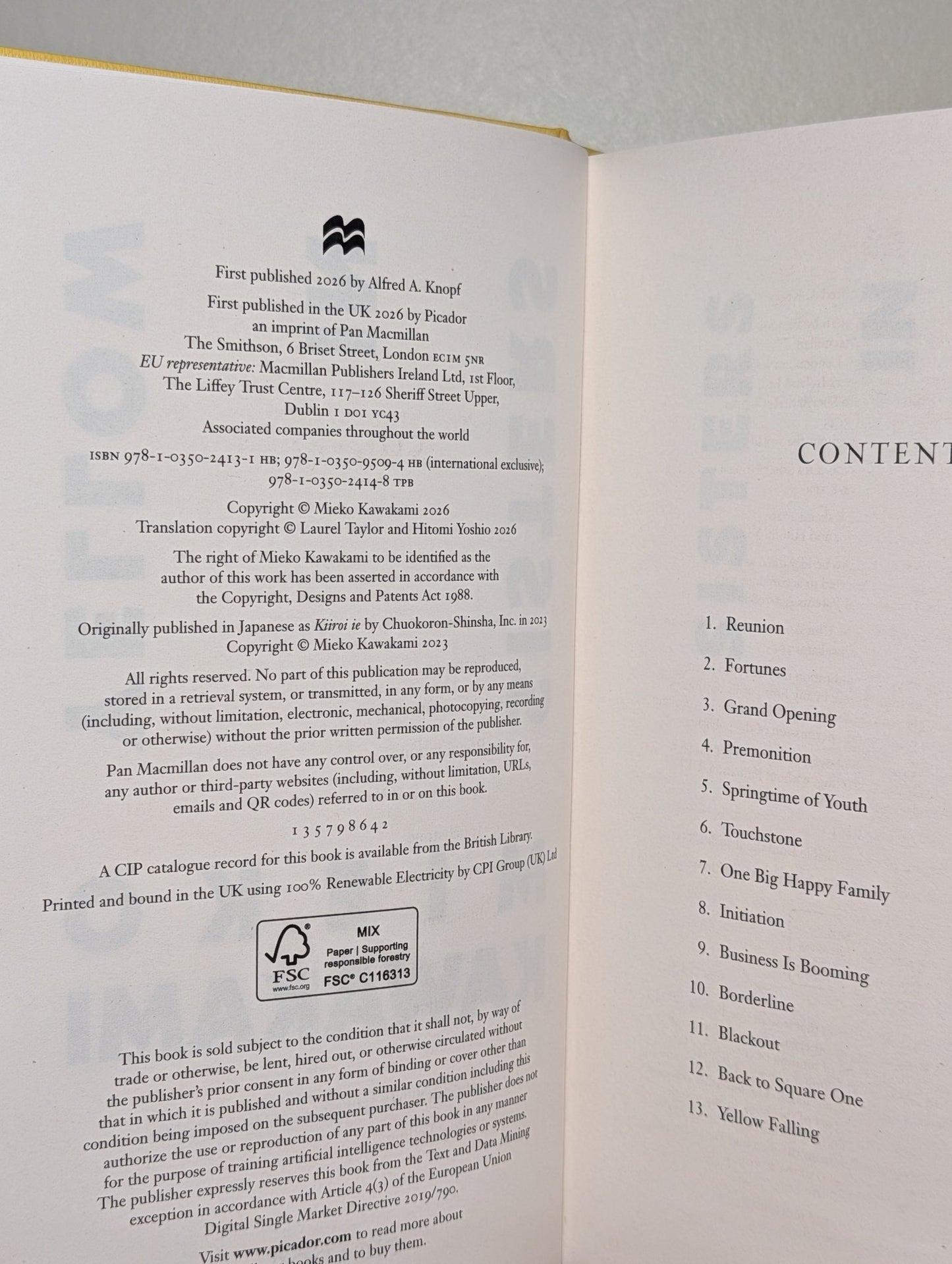 Sisters in Yellow by Mieko Kawakami (Signed First Edition with sprayed edges) - Fialta Books