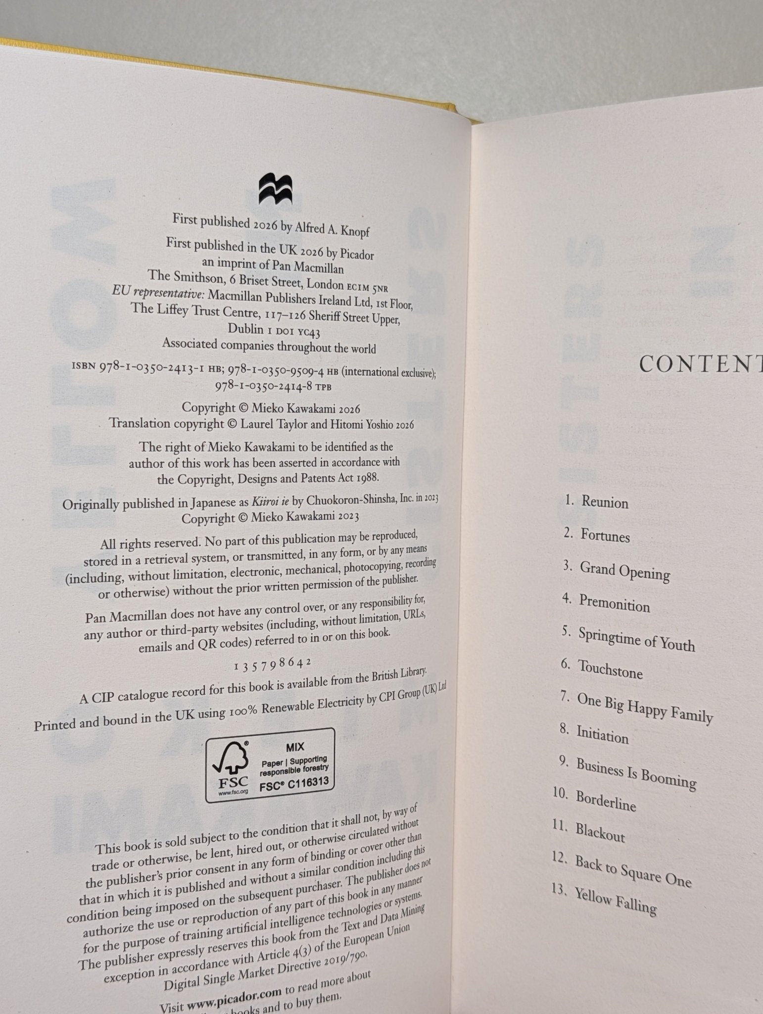 Sisters in Yellow by Mieko Kawakami (Signed First Edition with sprayed edges) - Fialta Books