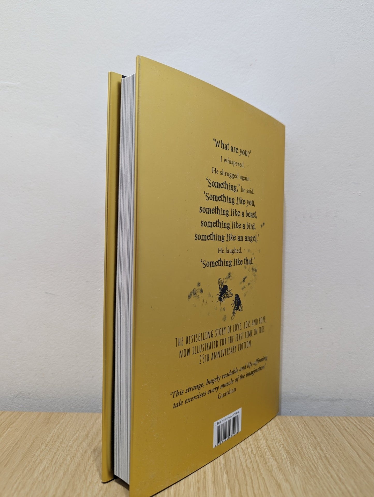 Skellig: the 25th anniversary illustrated edition by David Almond (Signed) - Fialta Books