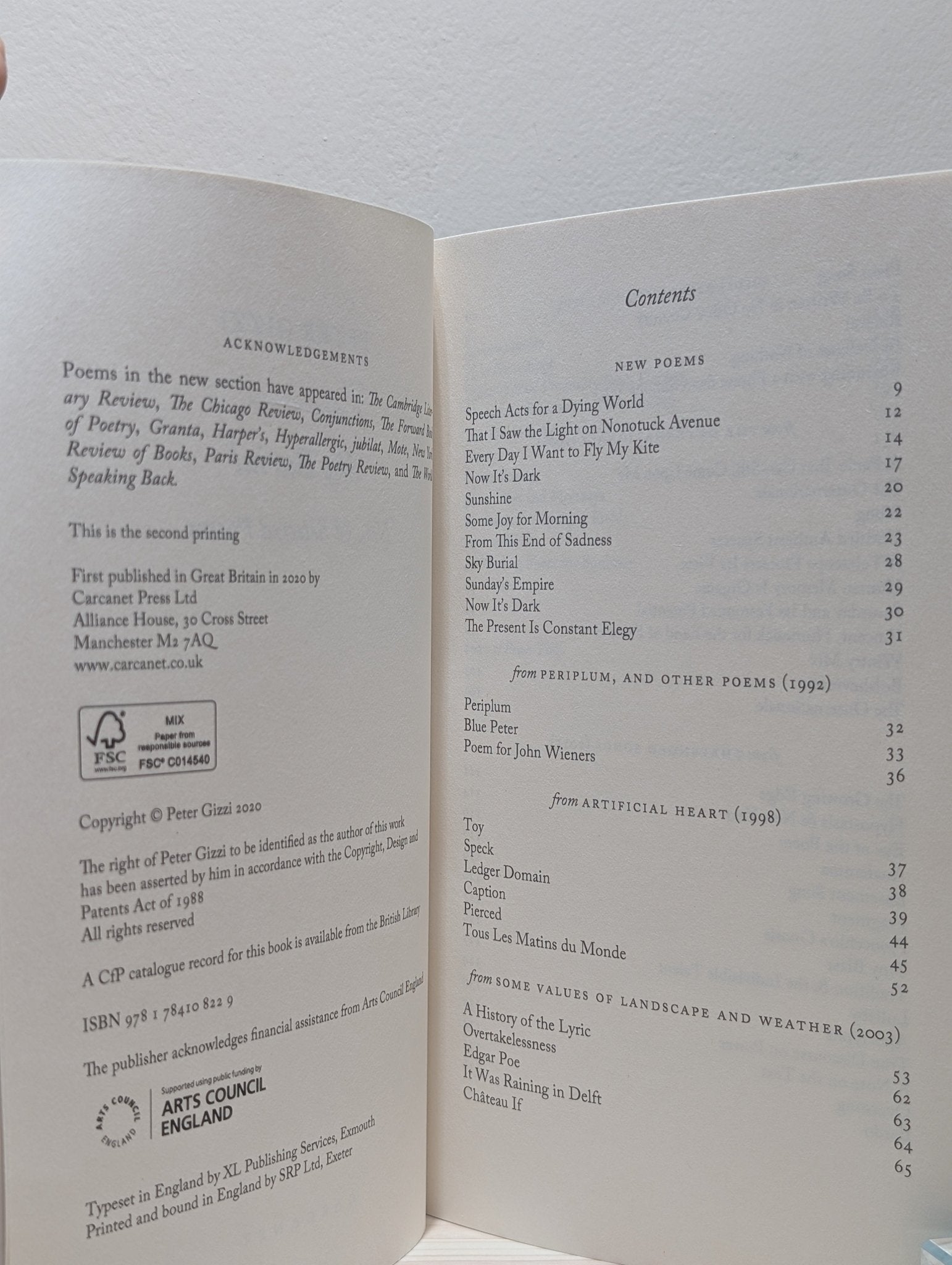 Sky Burial: New and Selected Poems by Peter Gizzi (Signed) - Fialta Books