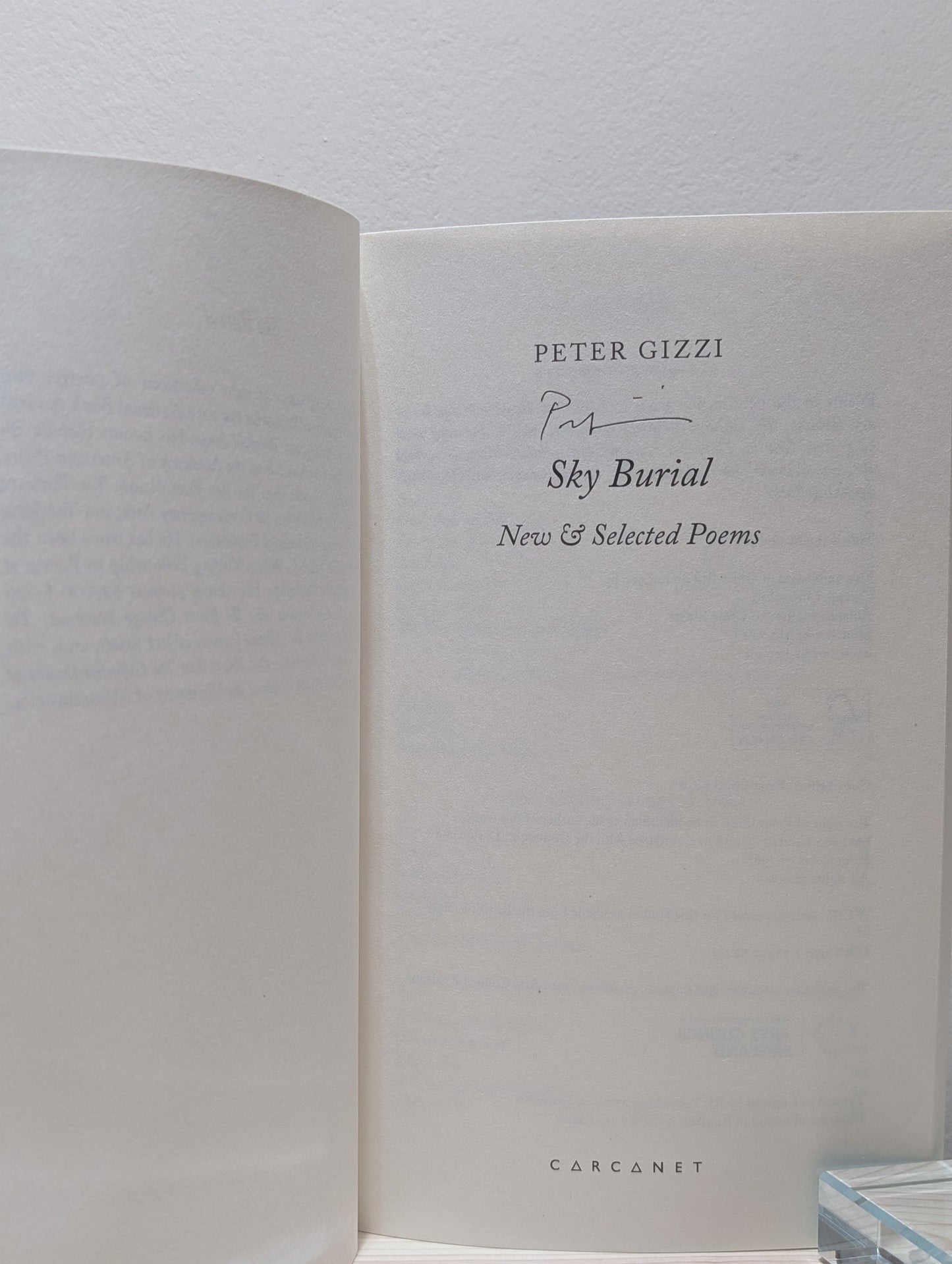 Sky Burial: New and Selected Poems by Peter Gizzi (Signed) - Fialta Books