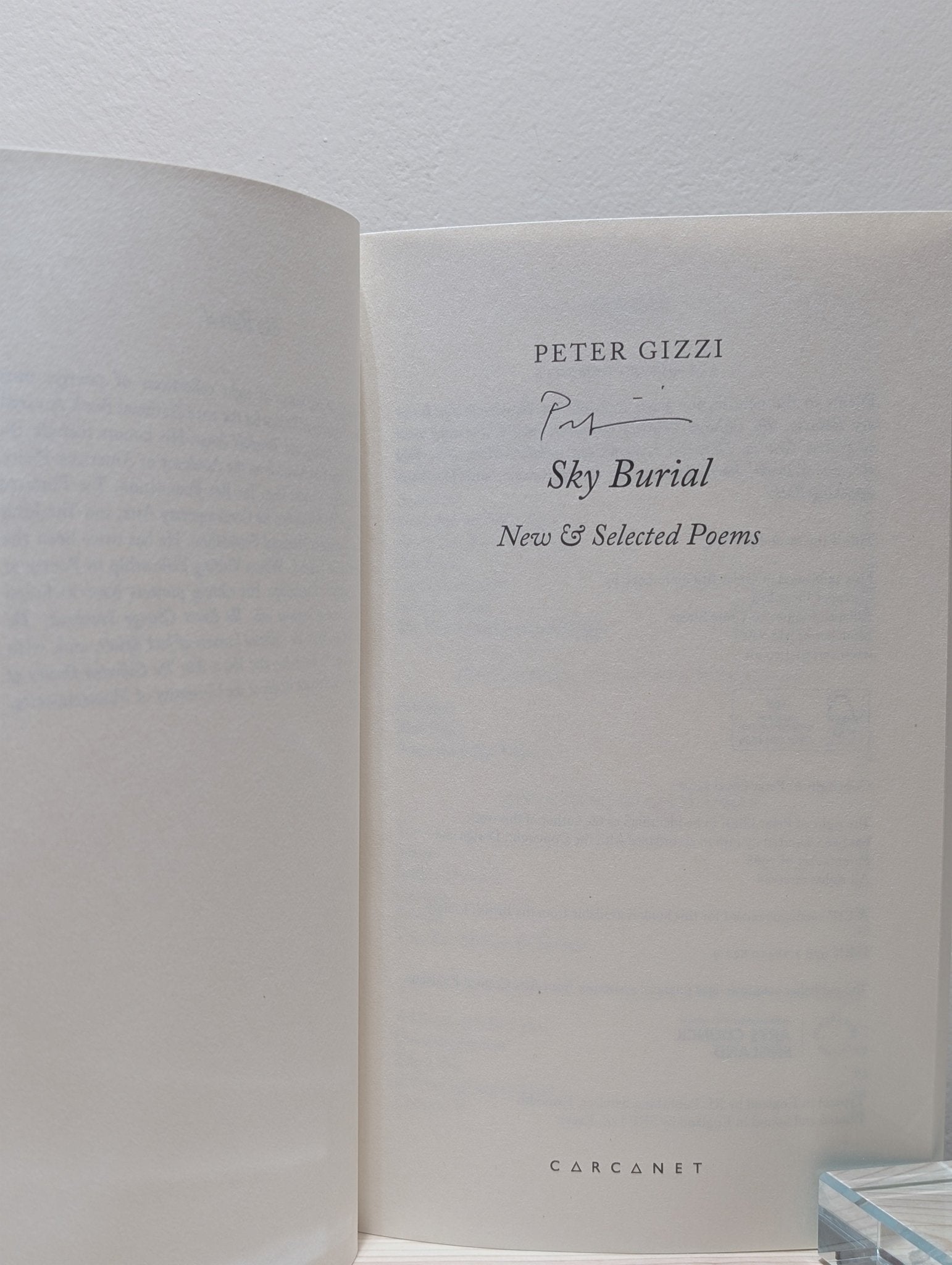 Sky Burial: New and Selected Poems by Peter Gizzi (Signed) - Fialta Books