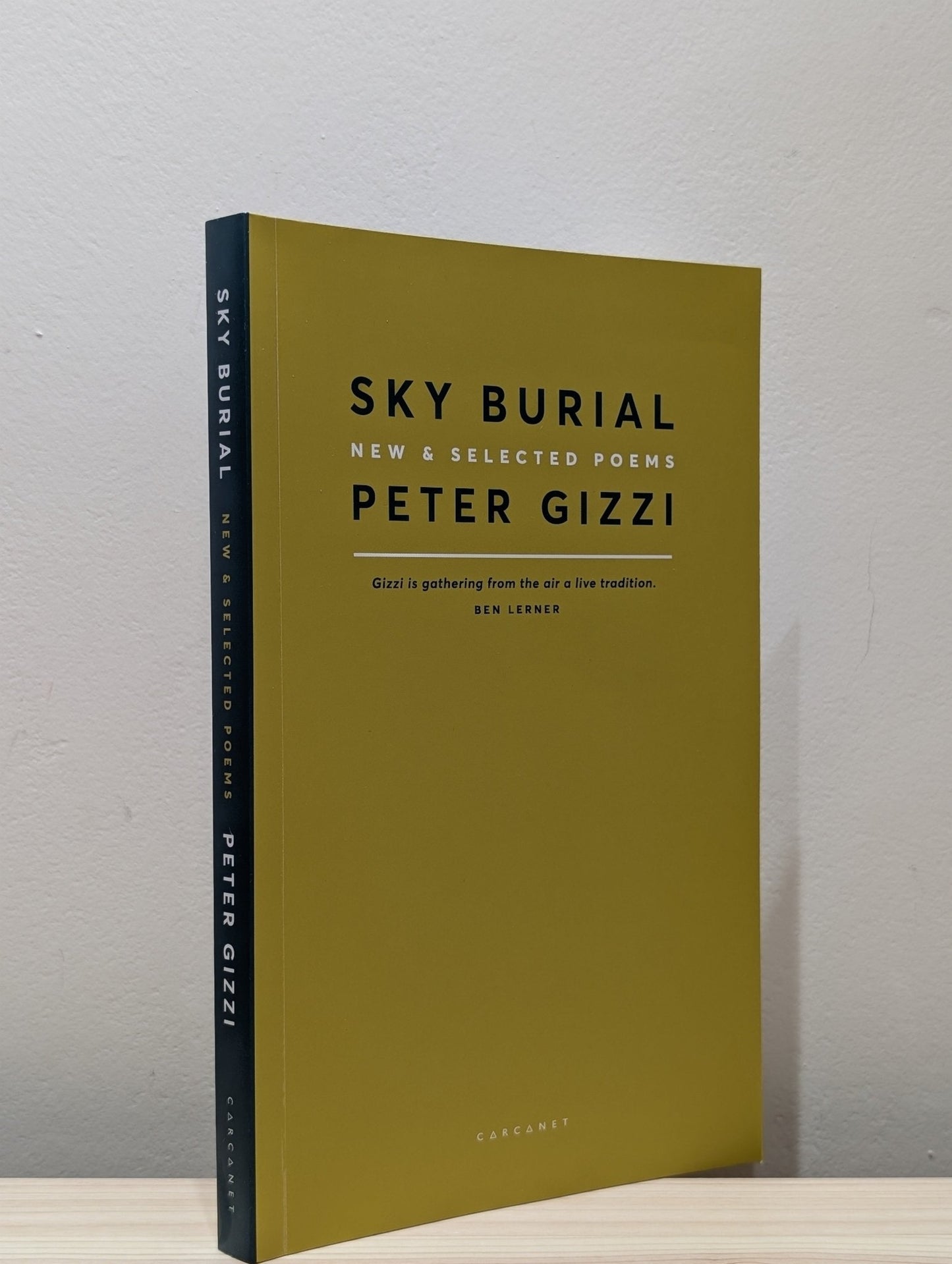 Sky Burial: New and Selected Poems by Peter Gizzi (Signed) - Fialta Books