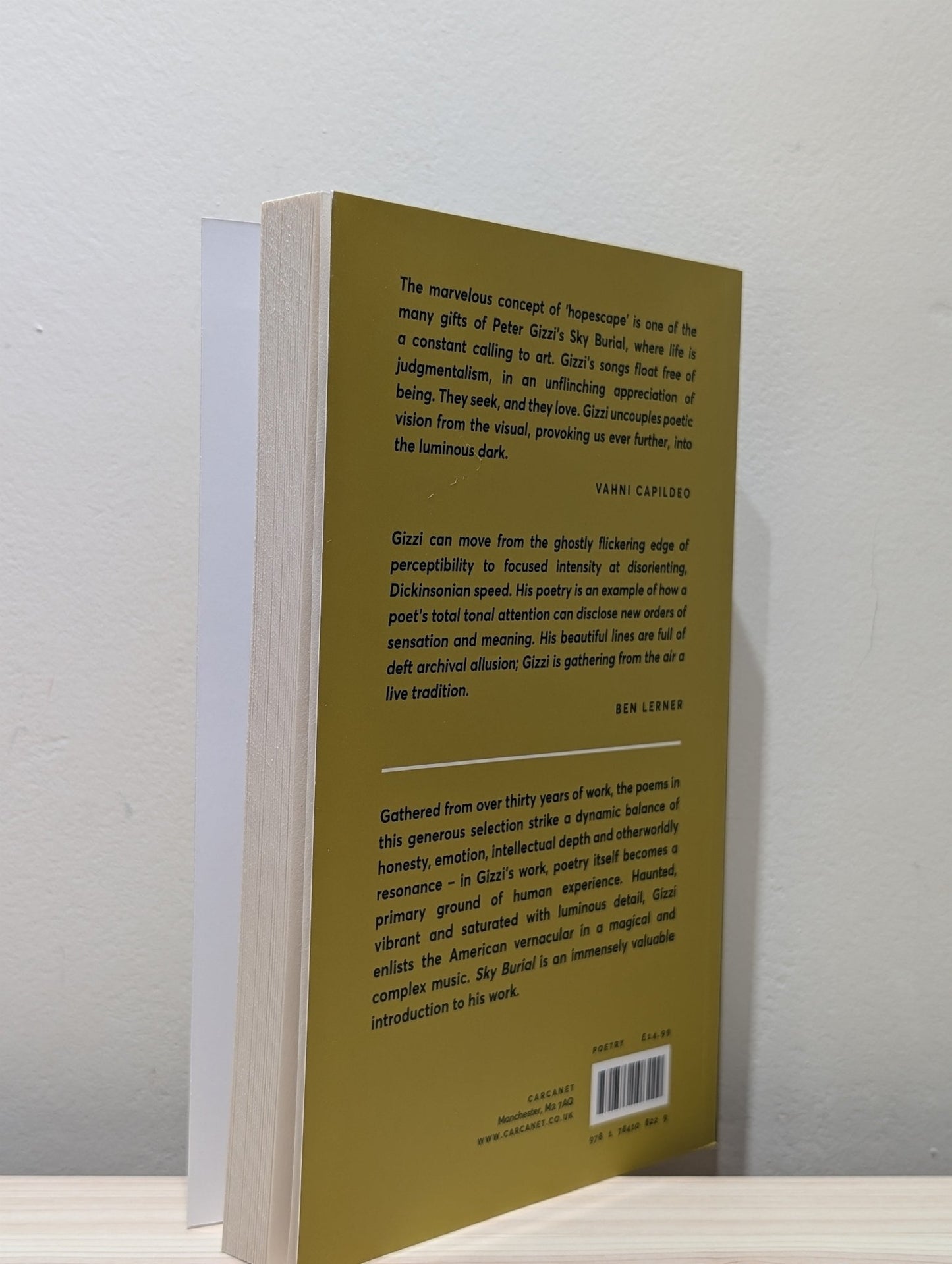 Sky Burial: New and Selected Poems by Peter Gizzi (Signed) - Fialta Books