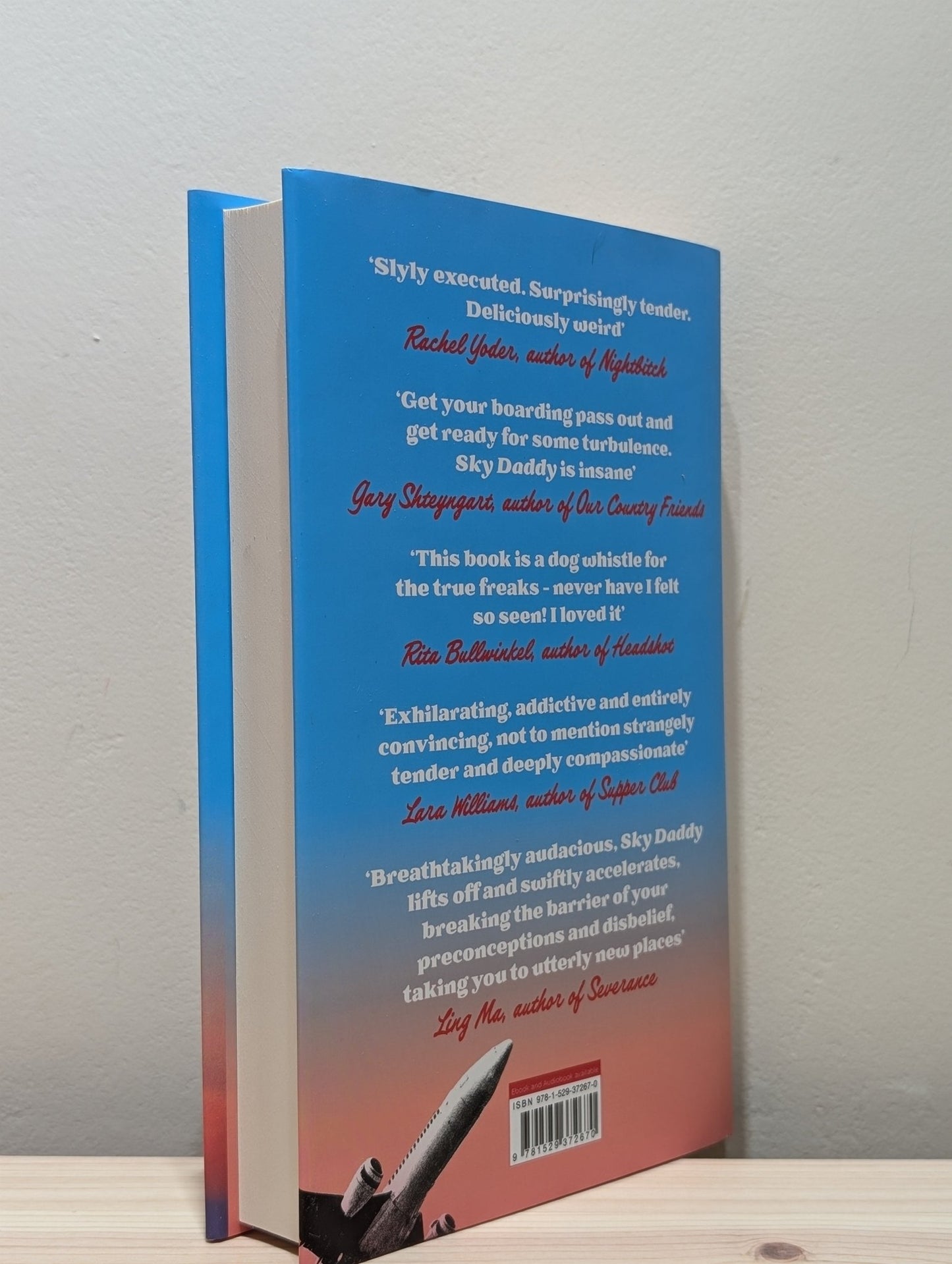 Sky Daddy by Kate Folk (First Edition) - Fialta Books