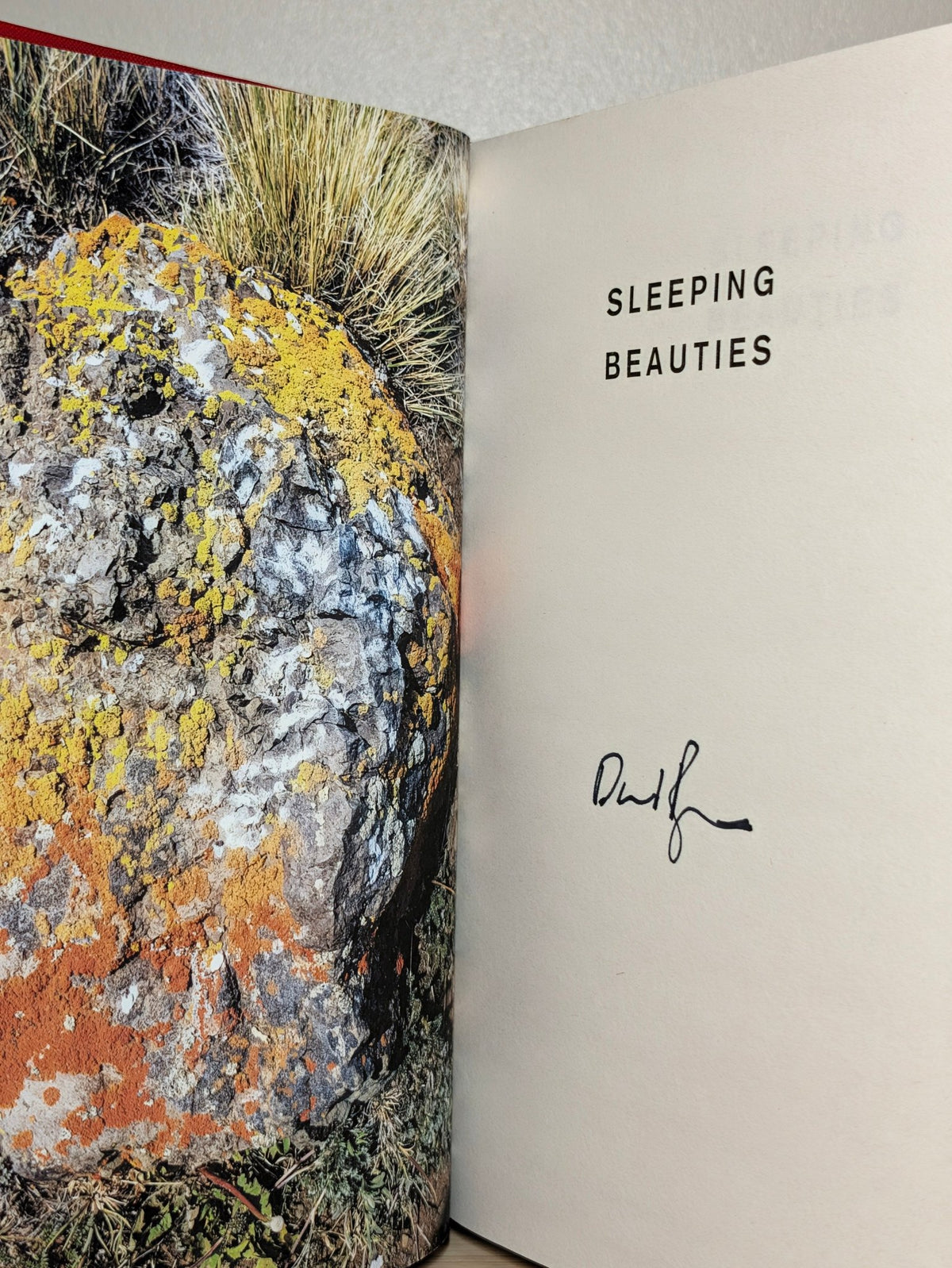 Sleeping Beauties by David Byrne (Signed First Edition) - Fialta Books