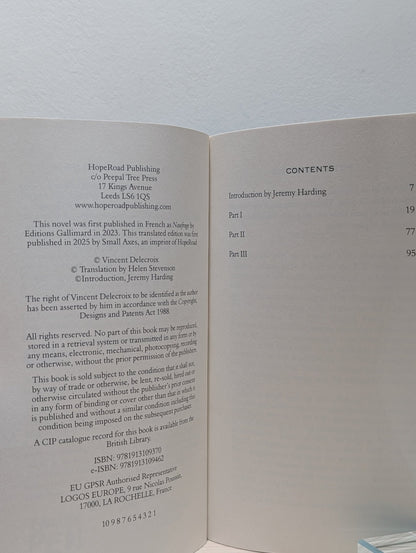 Small Boat by Vincent Delecroix (First Edition) - Fialta Books