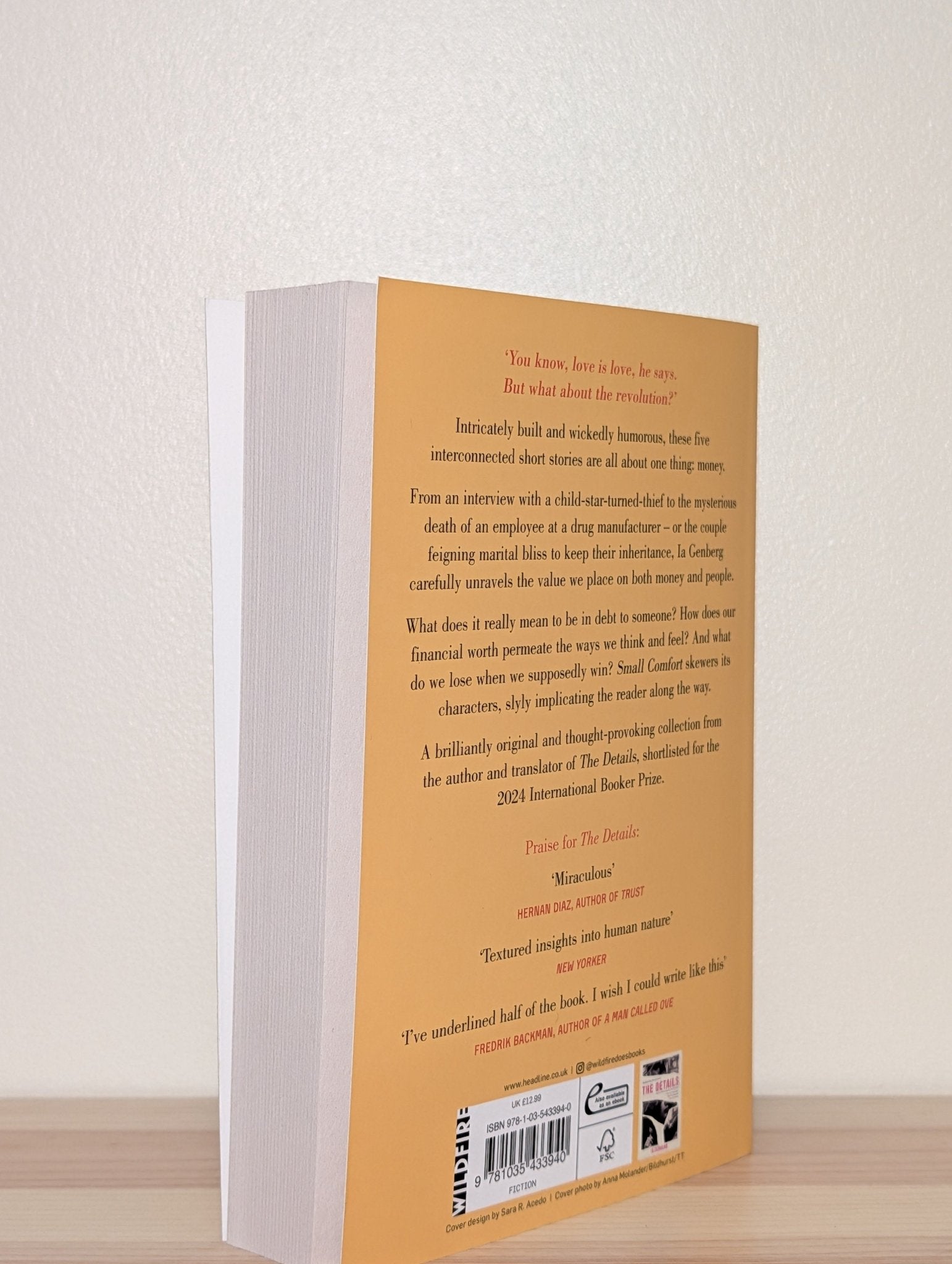 Small Comfort by Ia Genberg (First Edition) - Fialta Books