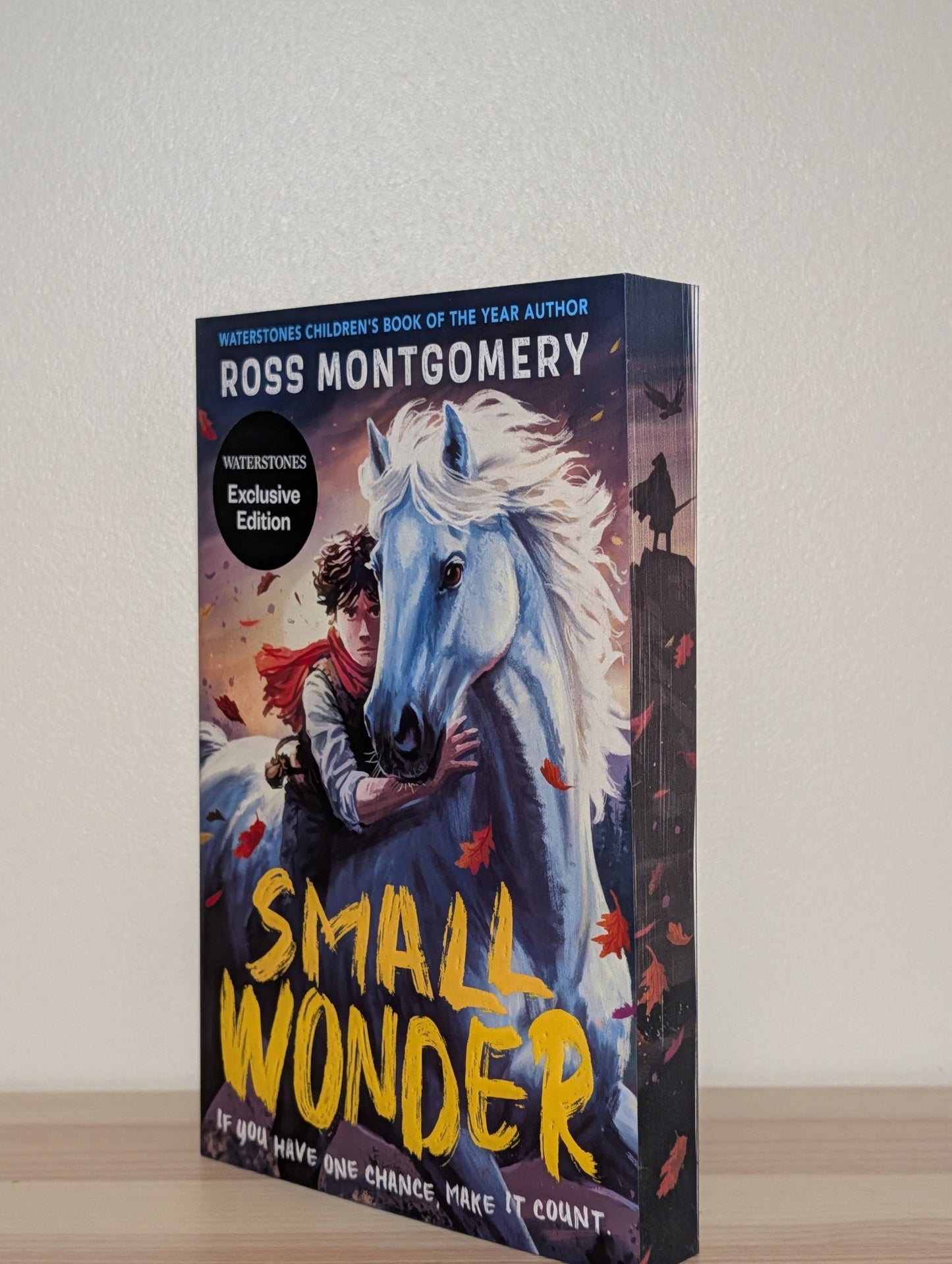 Small Wonder by Ross Montgomery (Signed First Edition with sprayed edges) - Fialta Books