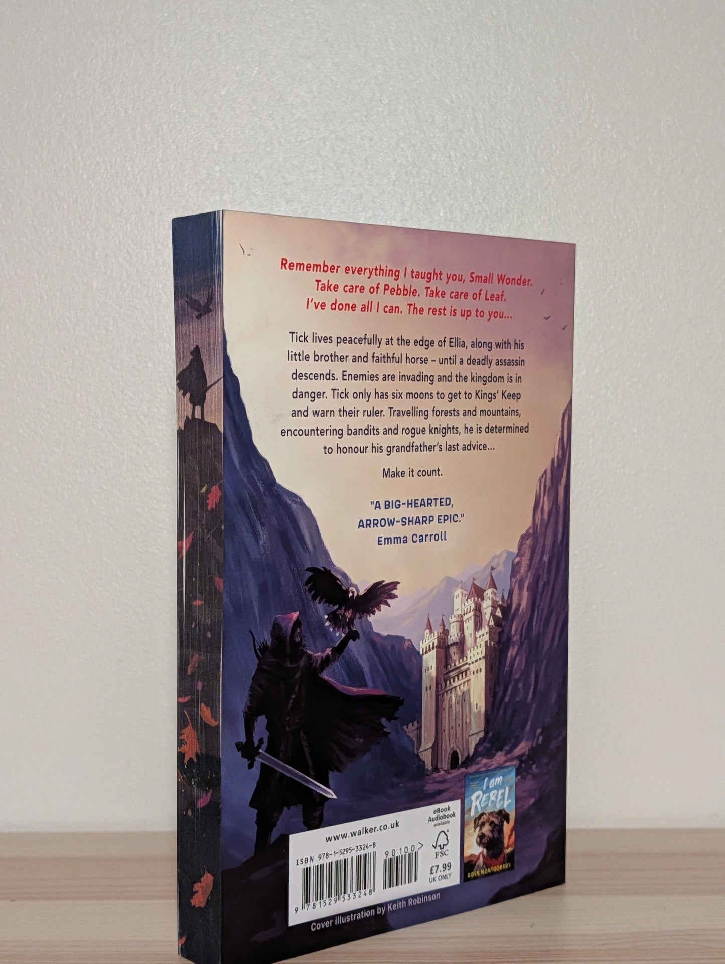 Small Wonder by Ross Montgomery (Signed First Edition with sprayed edges) - Fialta Books