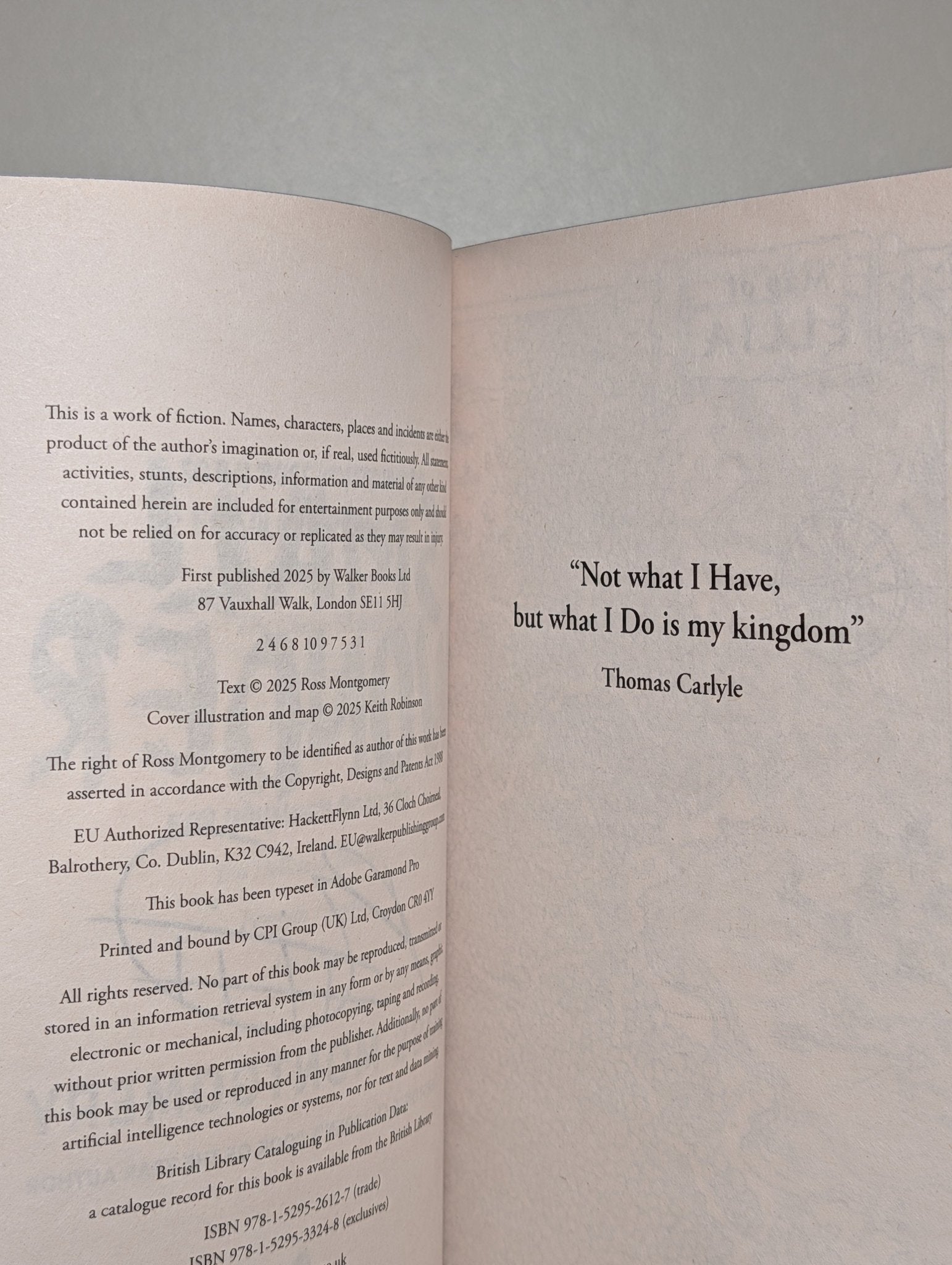 Small Wonder by Ross Montgomery (Signed First Edition with sprayed edges) - Fialta Books