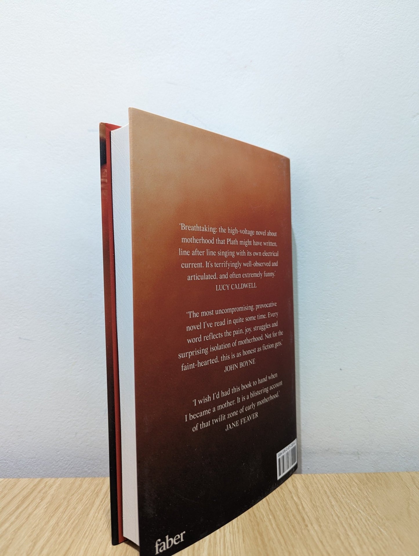 Soldier Sailor by Claire Kilroy (Signed First Edition) - Fialta Books