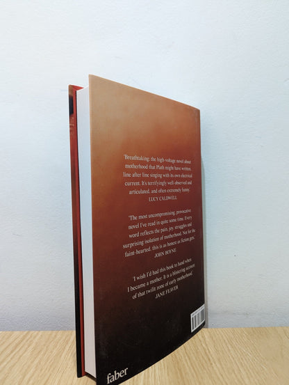 Soldier Sailor by Claire Kilroy (Signed First Edition) - Fialta Books