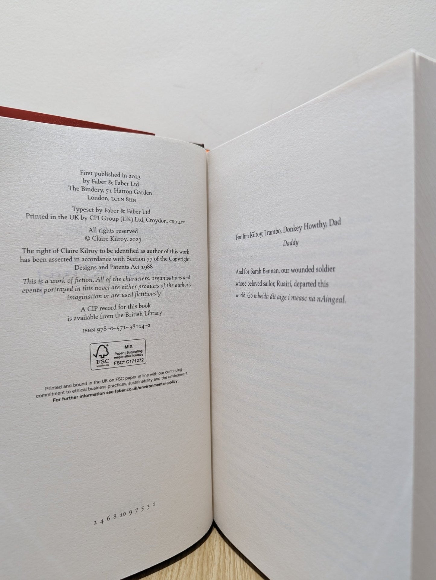 Soldier Sailor by Claire Kilroy (Signed First Edition) - Fialta Books