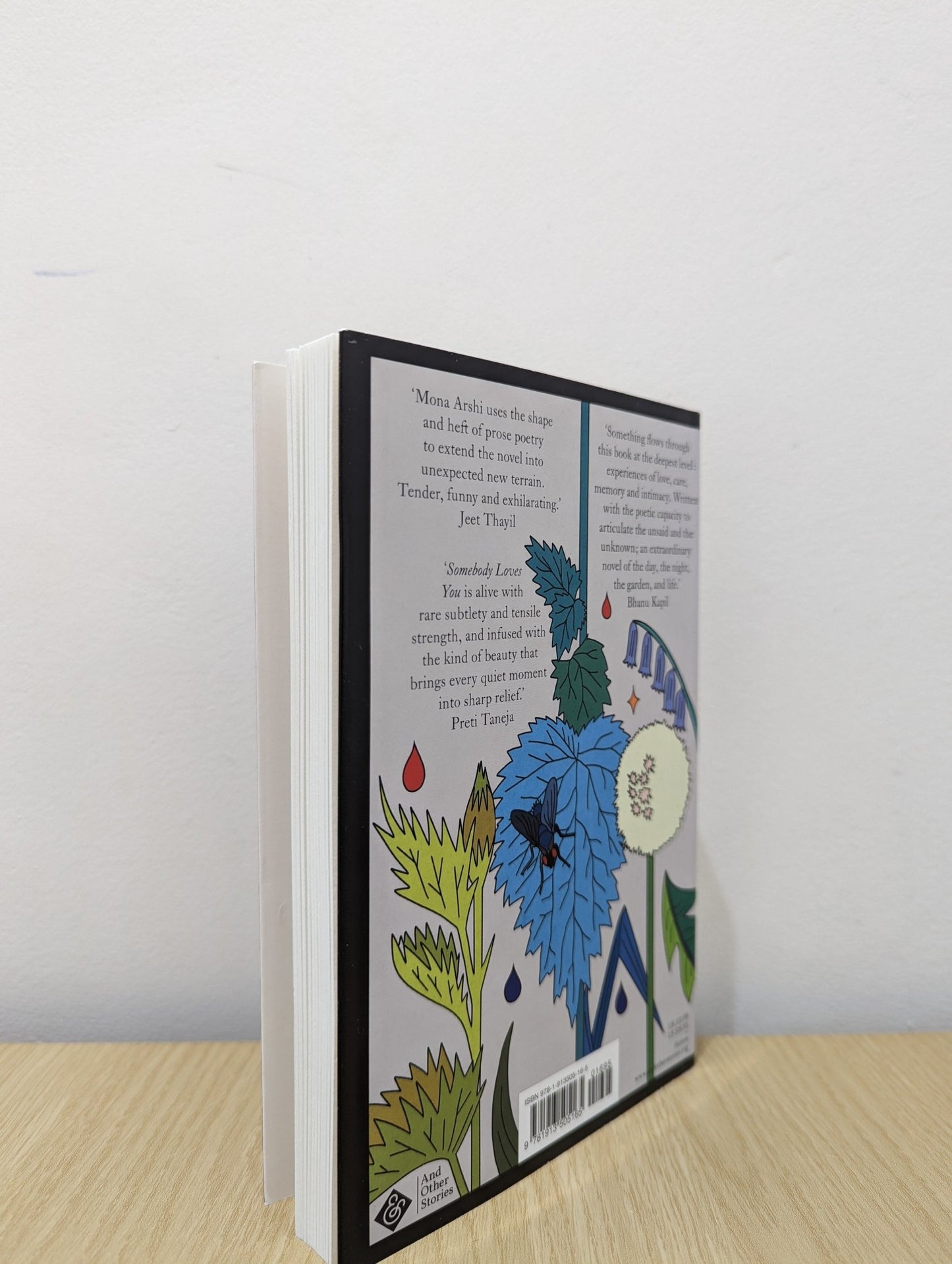 Somebody Loves You by Mona Arshi (Signed First Edition) - Fialta Books