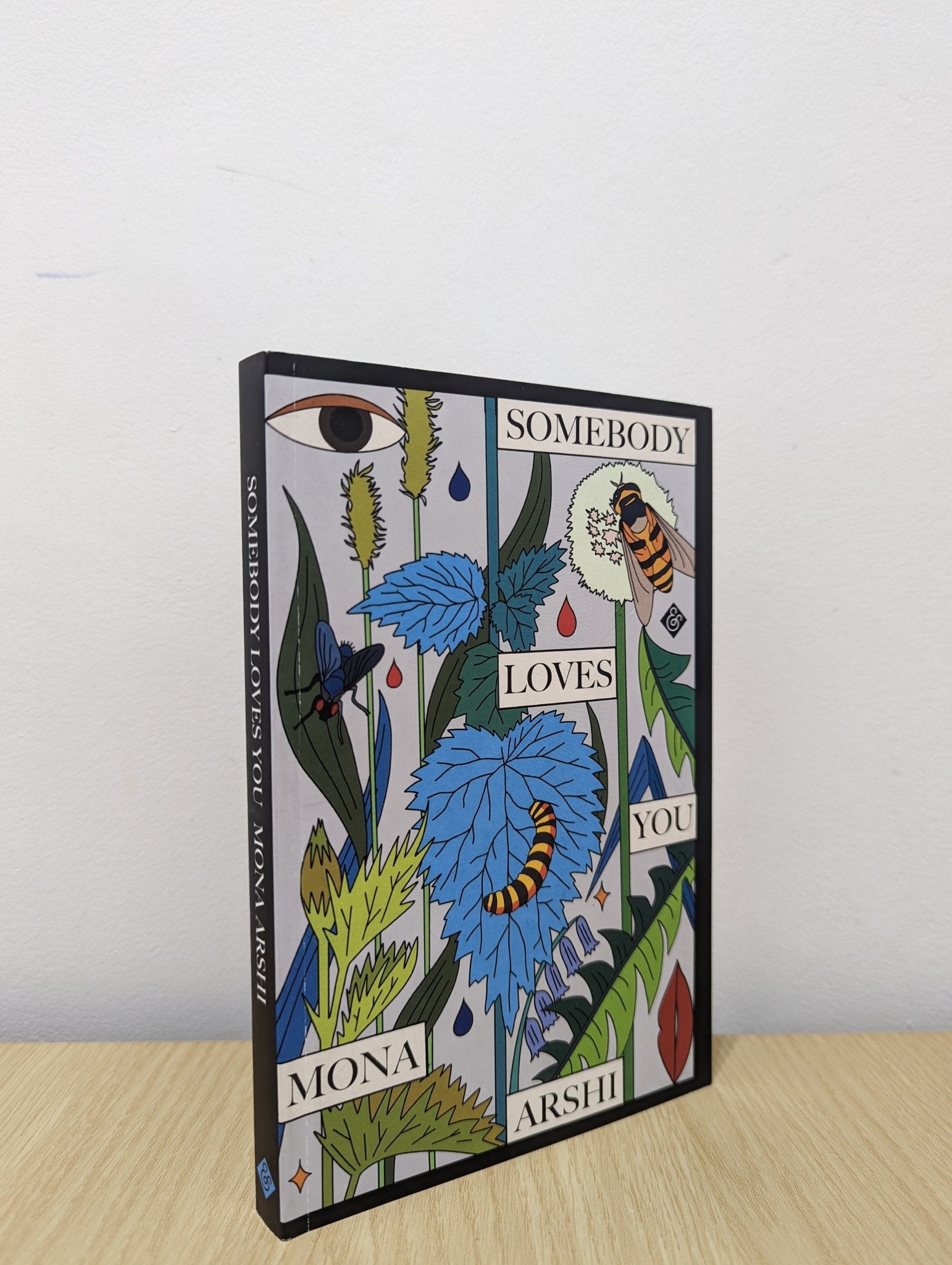 Somebody Loves You by Mona Arshi (Signed First Edition) - Fialta Books