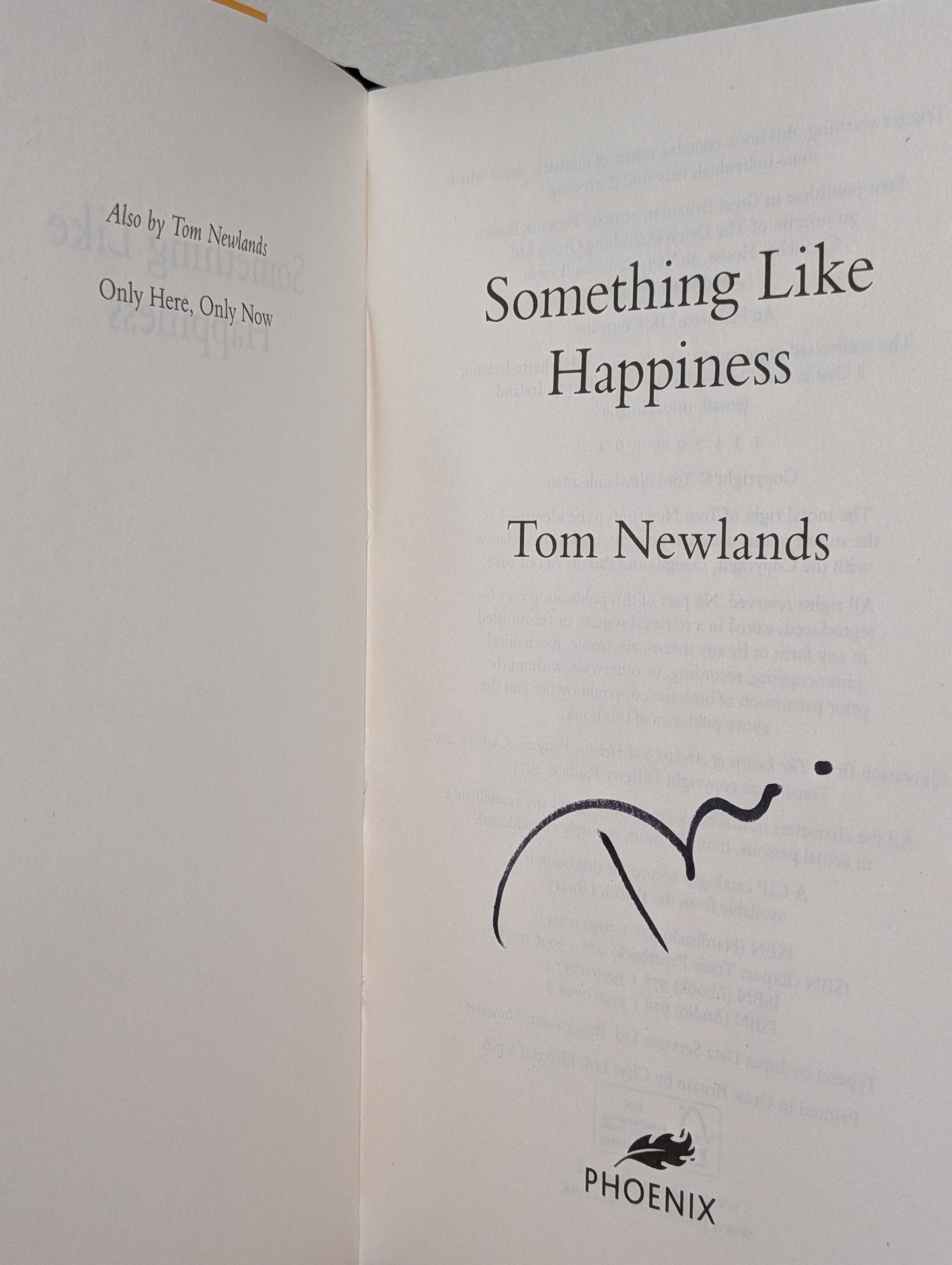 Something Like Happiness by Tom Newlands (Signed First Edition) - Fialta Books