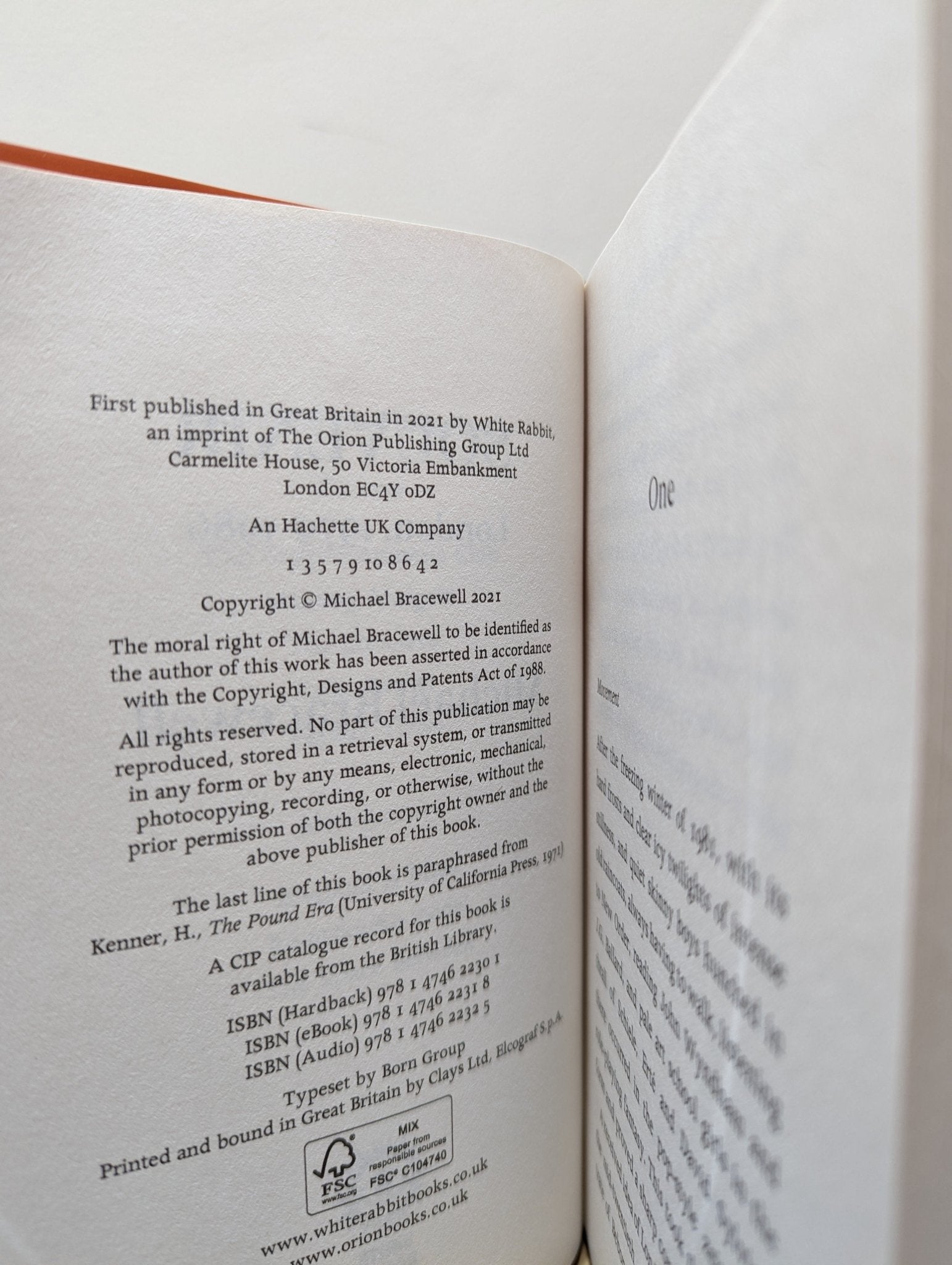 Souvenir by Michael Bracewell (First Edition) - Fialta Books