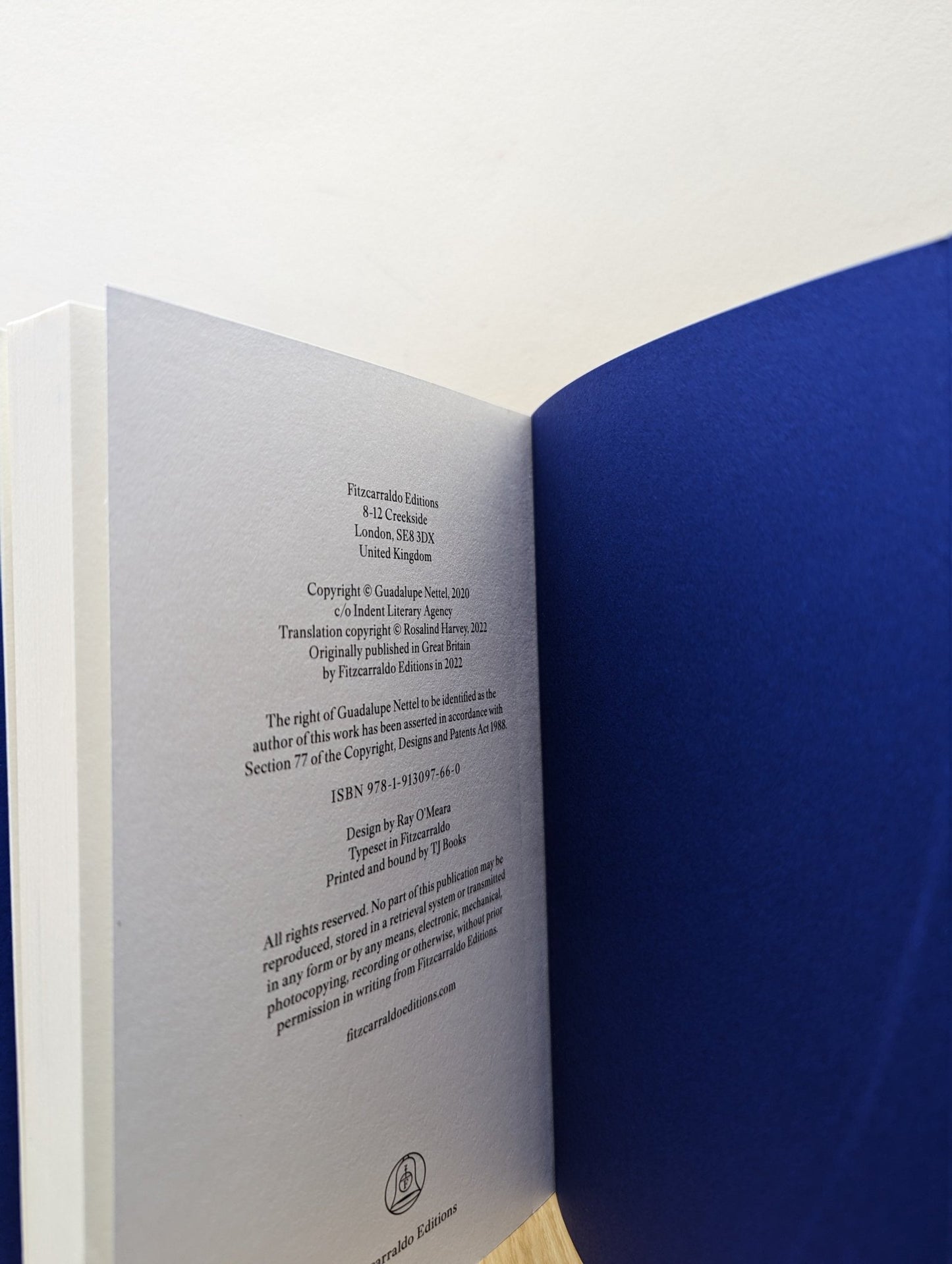 Still Born by Guadalupe Nettel (Double Signed) - Fialta Books