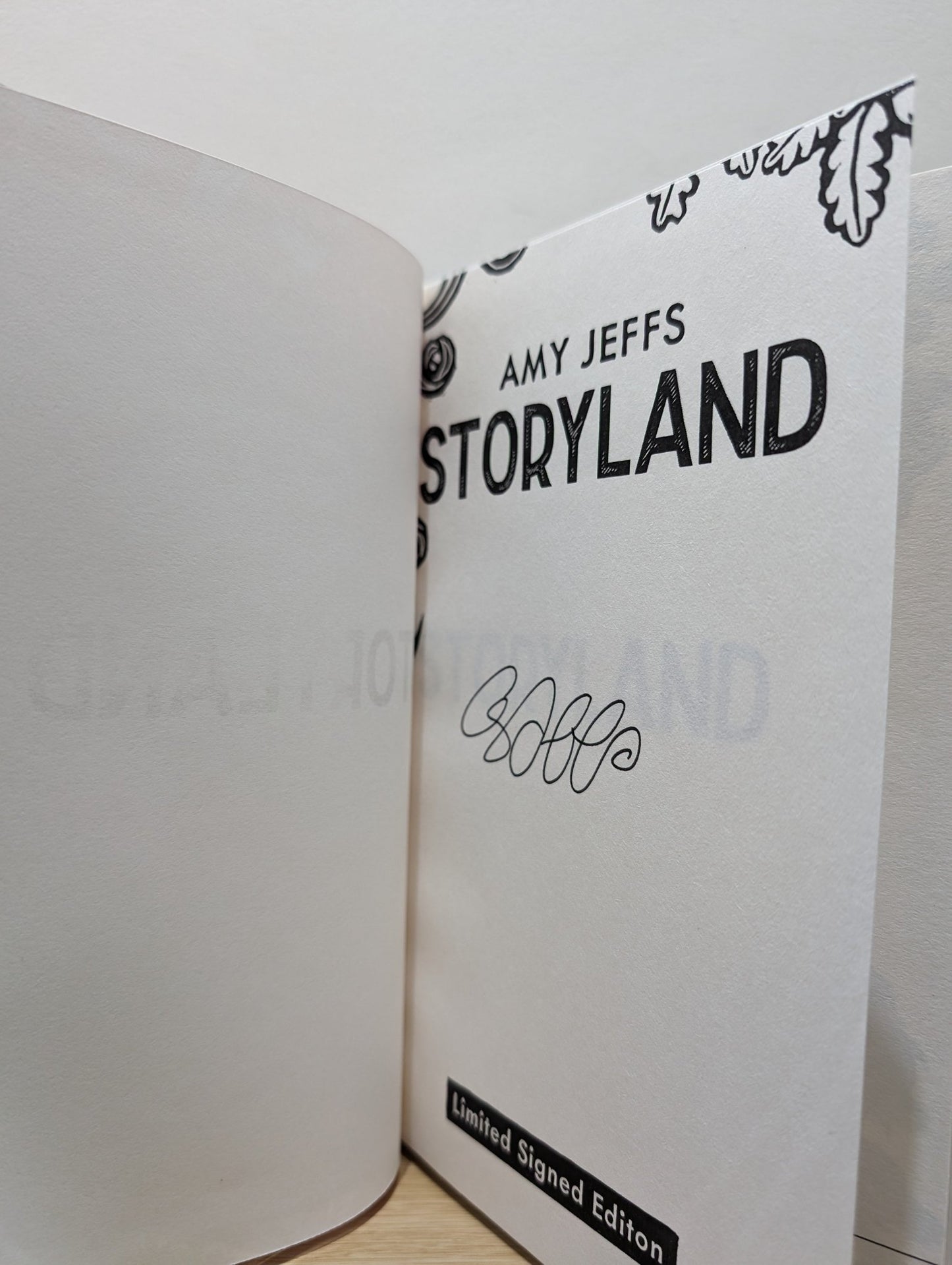 Storyland Children's Edition by Amy Jeffs (Signed First Edition) - Fialta Books