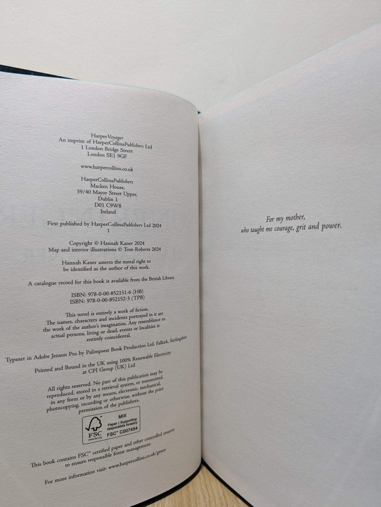 Sunbringer by Hannah Kaner (Signed First Edition with foil on boards) - Fialta Books