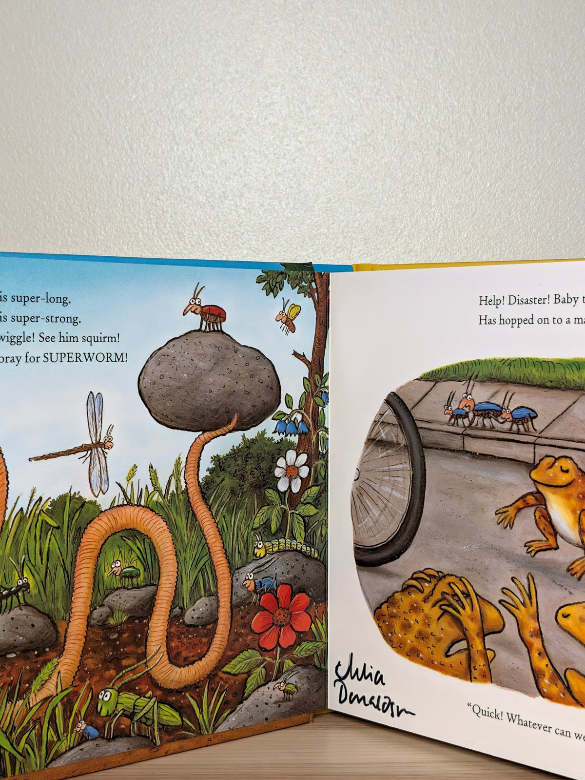 Superworm by Julia Donaldson (Signed Edition) - Fialta Books