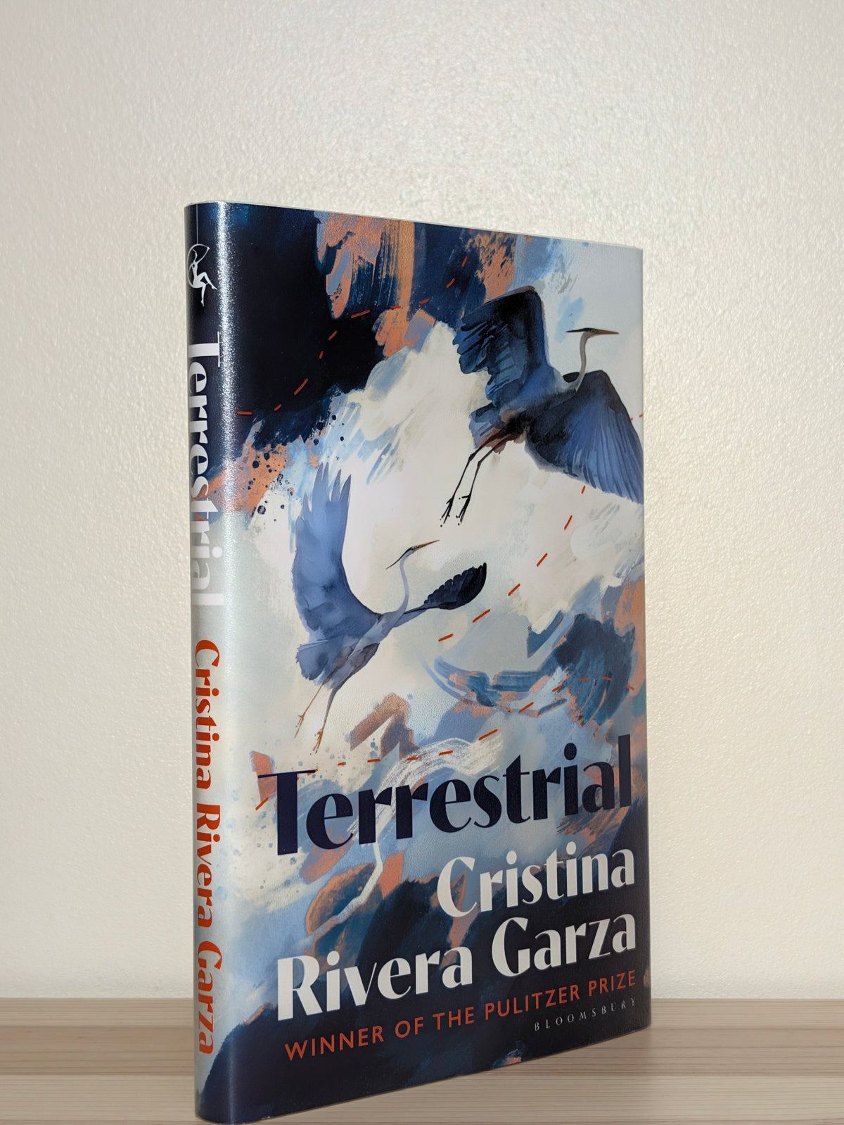 Terrestrial by Cristina Rivera Garza (First Edition) - Fialta Books