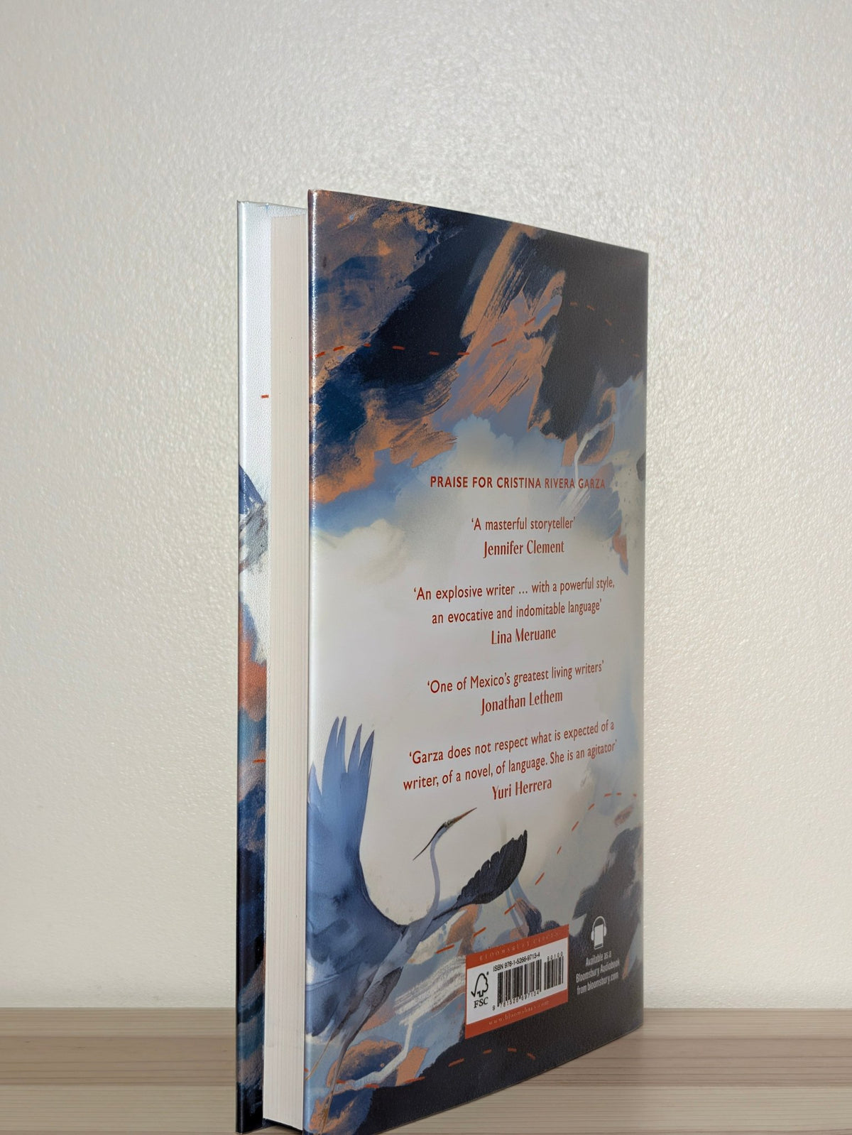 Terrestrial by Cristina Rivera Garza (First Edition) - Fialta Books