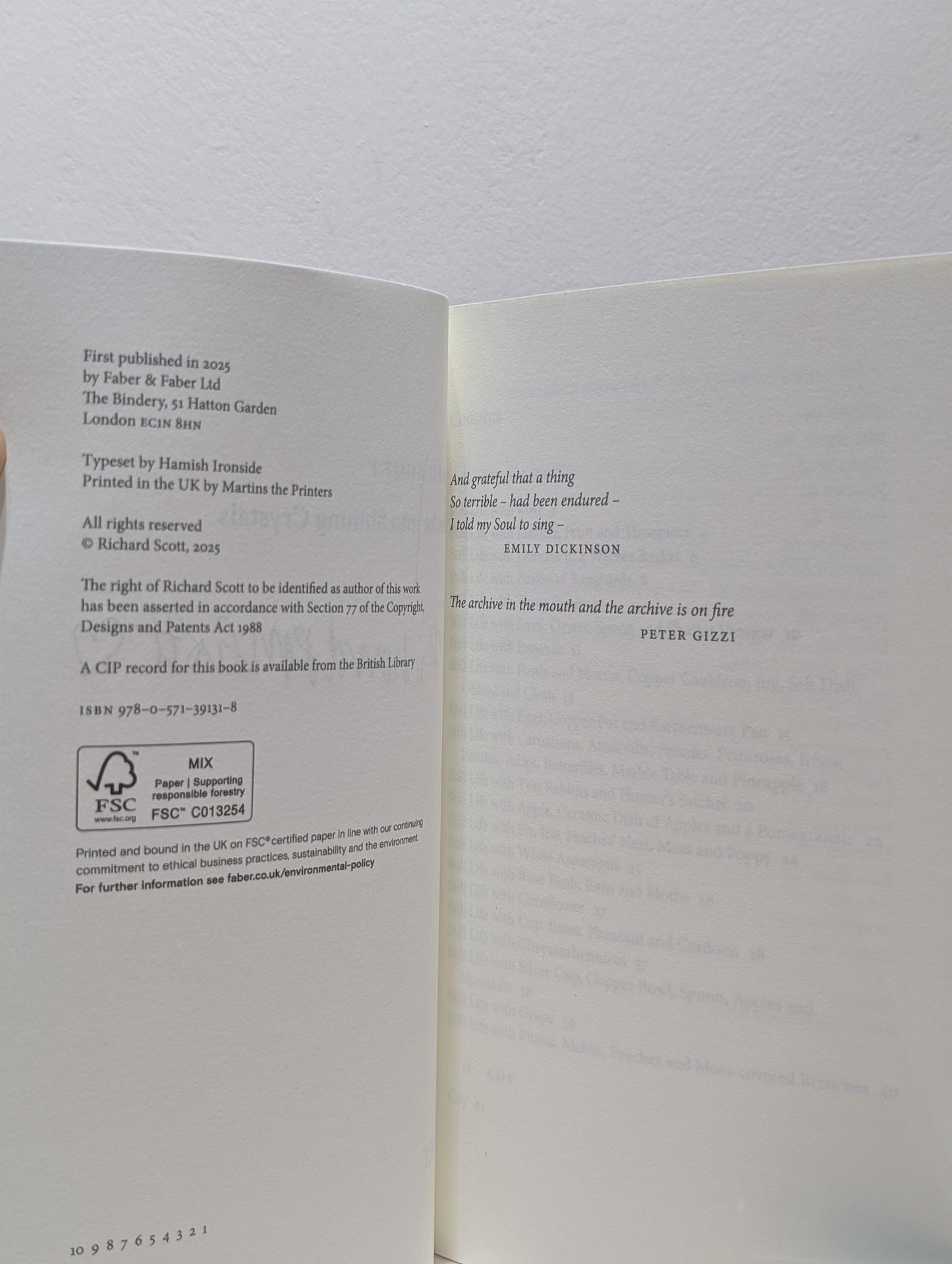 That Broke into Shining Crystals by Richard Scott (Signed First Edition) - Fialta Books