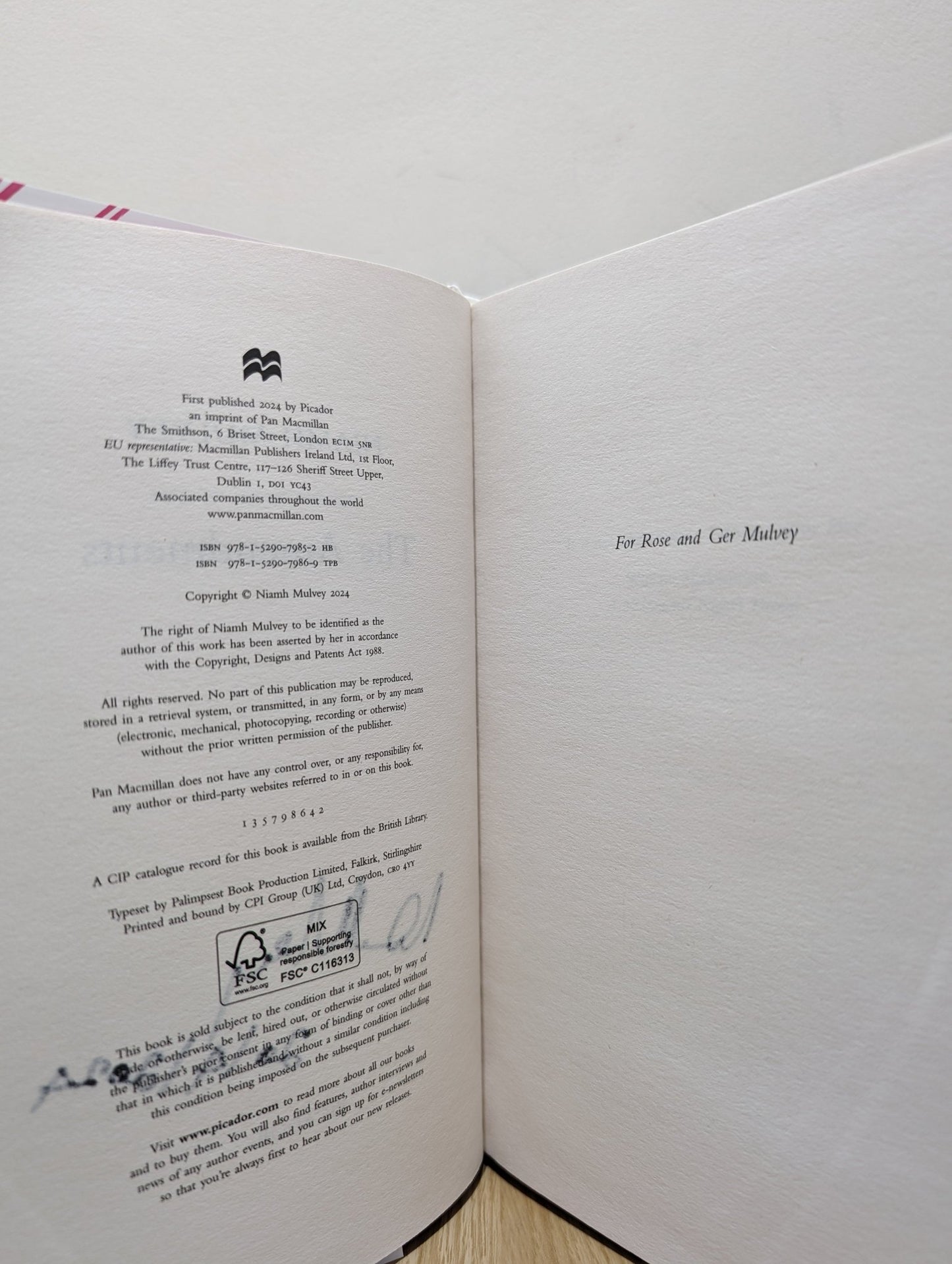 The Amendments by Niamh Mulvey (Signed First Edition) - Fialta Books