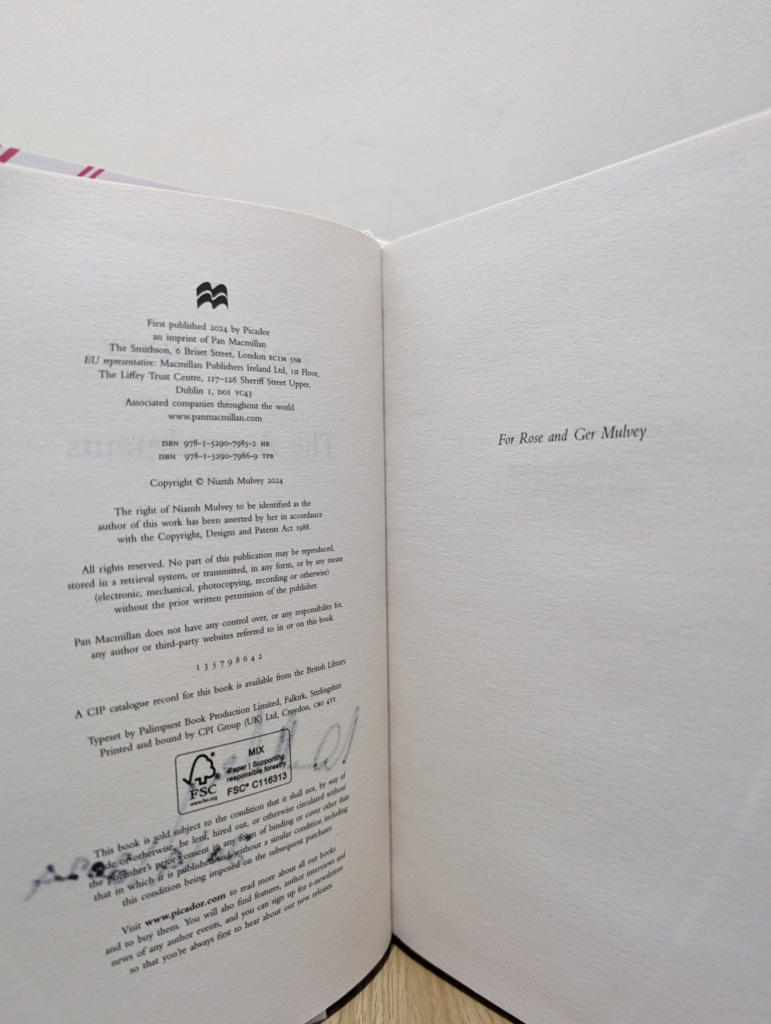 The Amendments by Niamh Mulvey (Signed First Edition) - Fialta Books