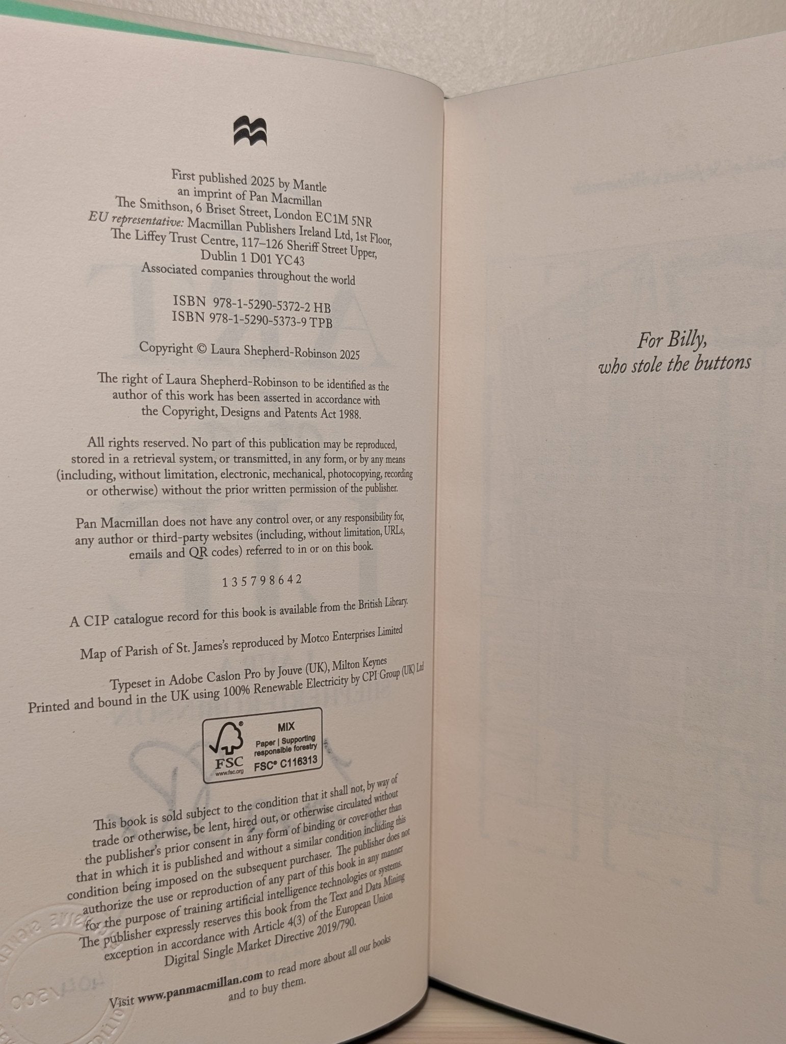 The Art of a Lie by Laura Shepherd - Robinson (Signed Numbered First Edition with sprayed edges) - Fialta Books