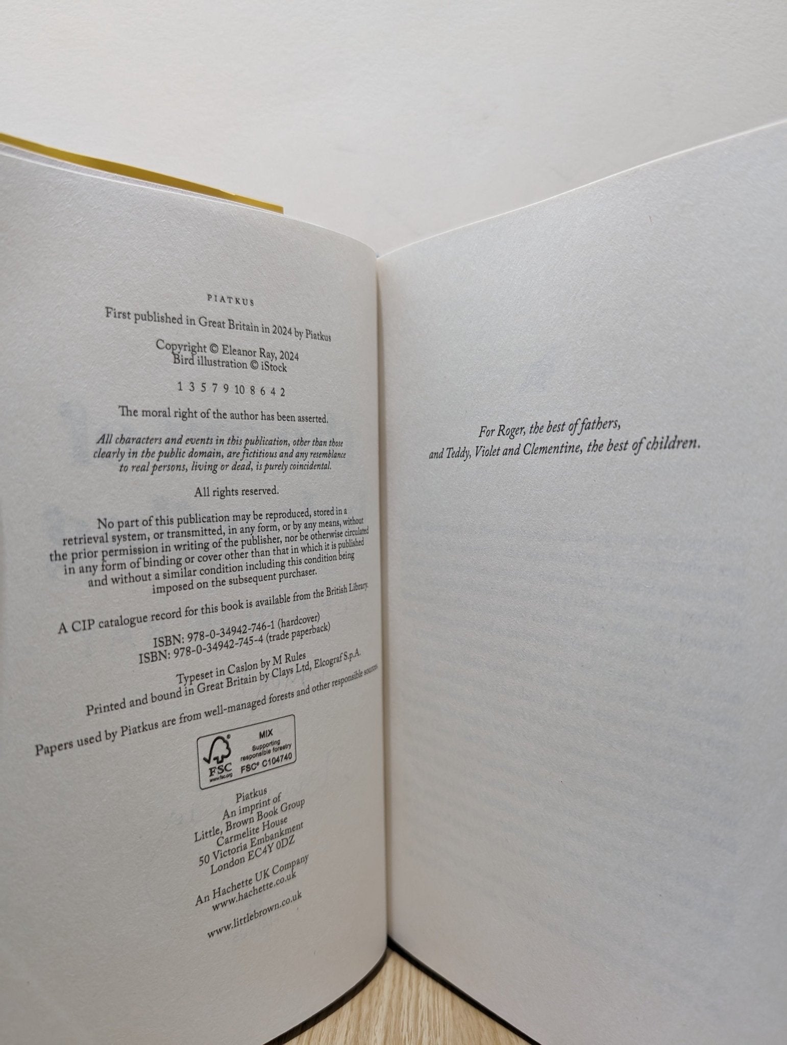 The Art of Belonging by Eleanor Ray (Signed First Edition) - Fialta Books