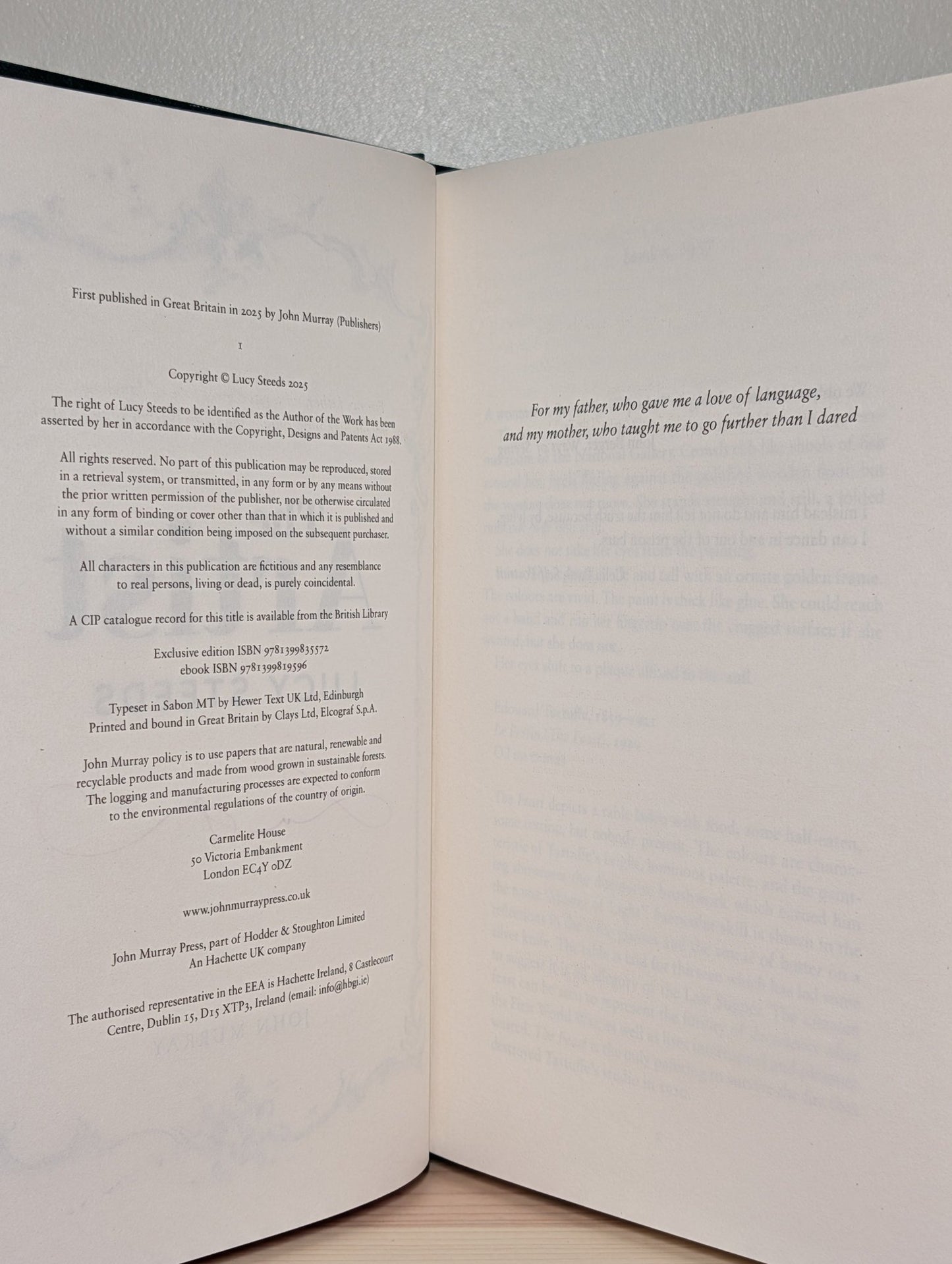 The Artist by Lucy Steeds (Signed Special Edition) - Fialta Books