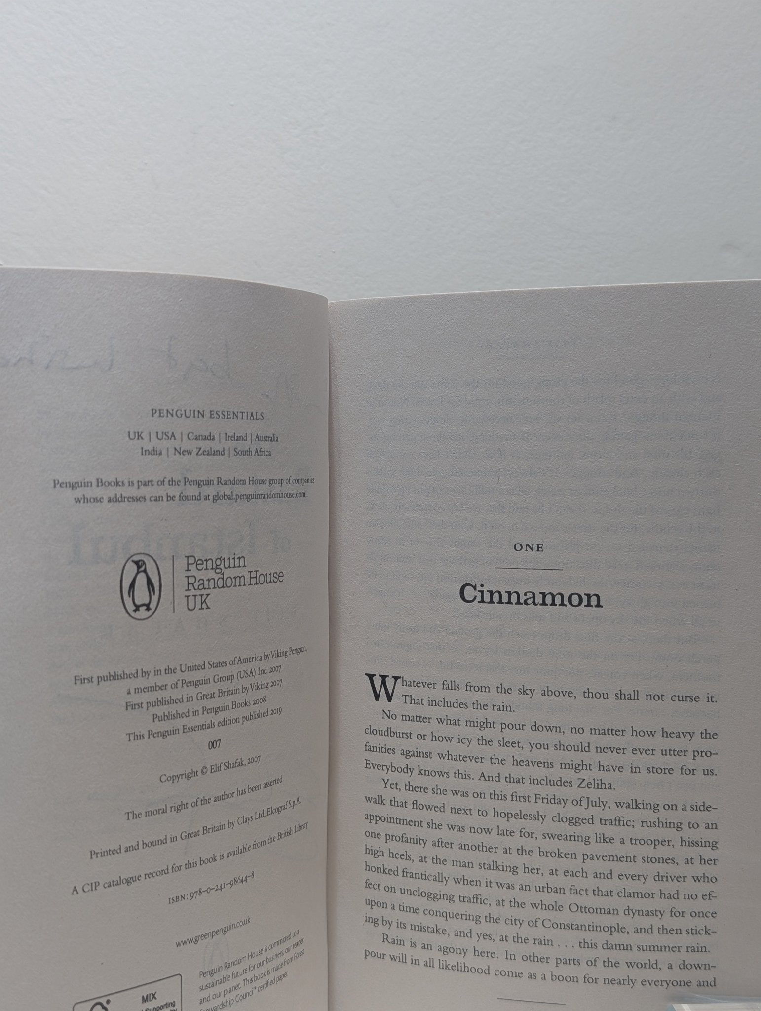 The Bastard of Istanbul by Elif Shafak (Signed) - Fialta Books