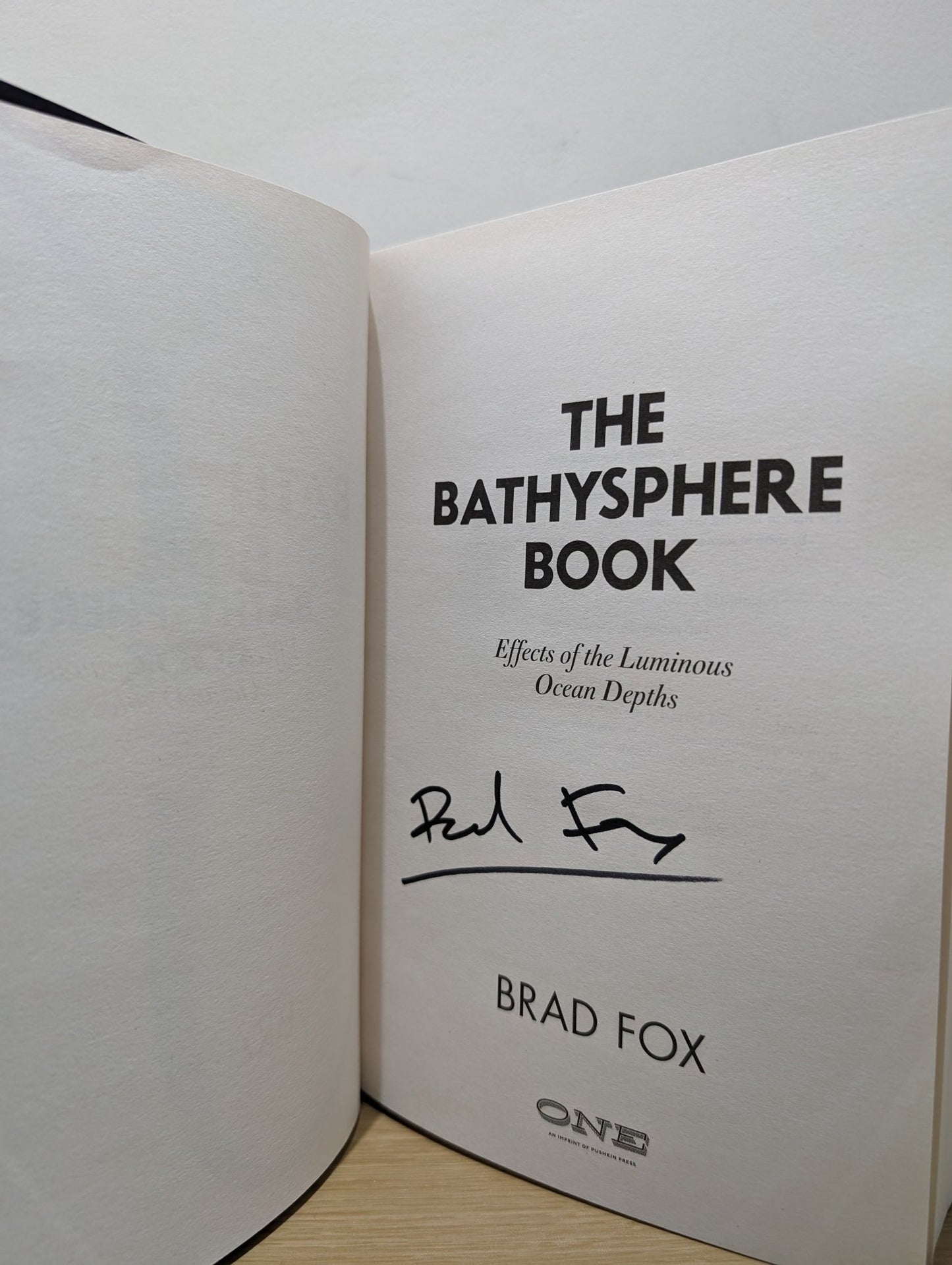 The Bathysphere Book by Brad Fox (Signed First Edition) - Fialta Books