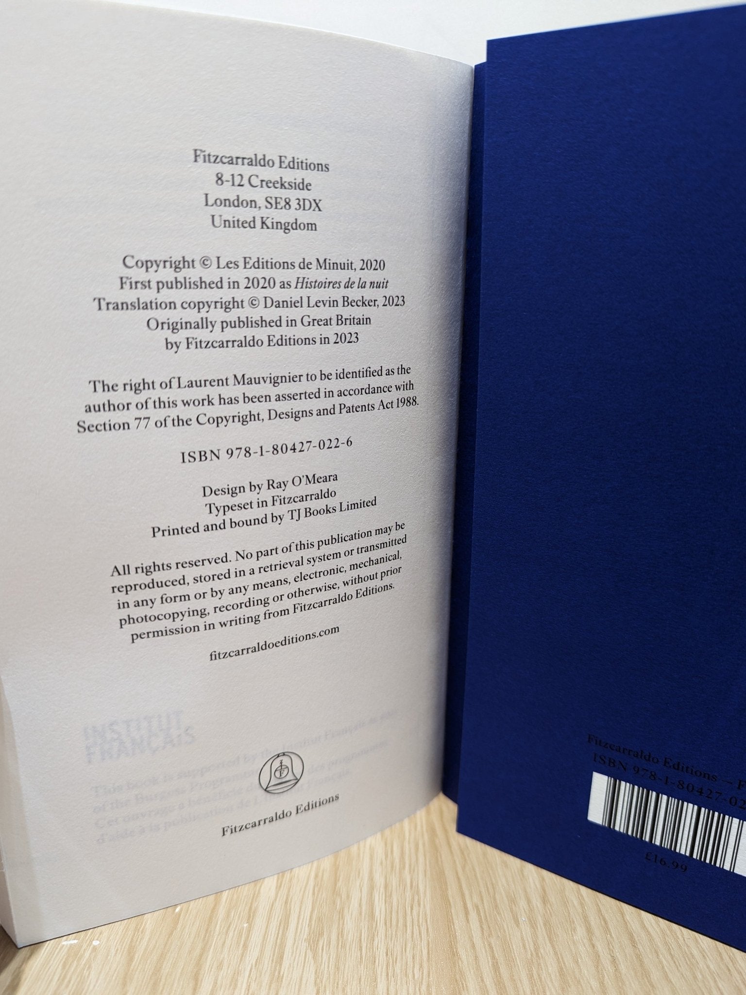 The Birthday Party by Laurent Mauvignier (First Edition) - Fialta Books